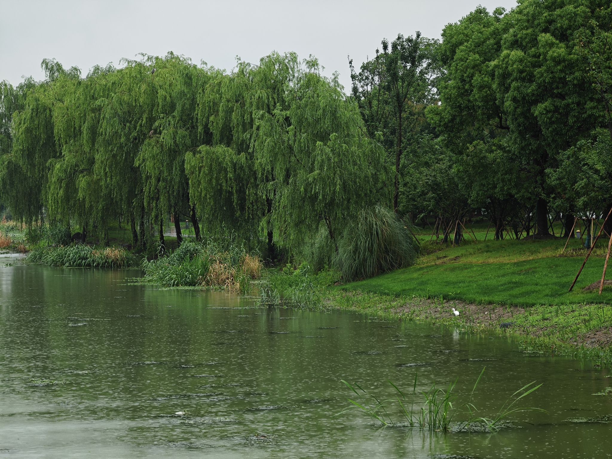 澹台湖公园旅行图片 3