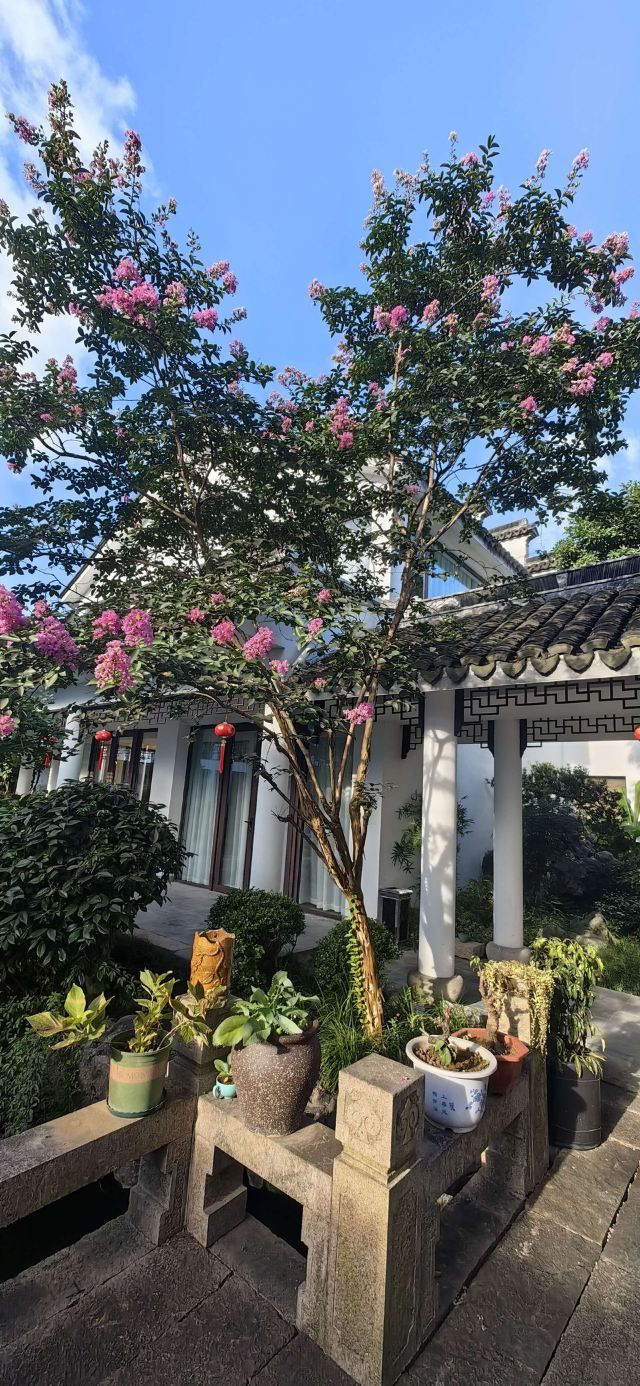 苏州同里古镇旅游区旅行图片 1