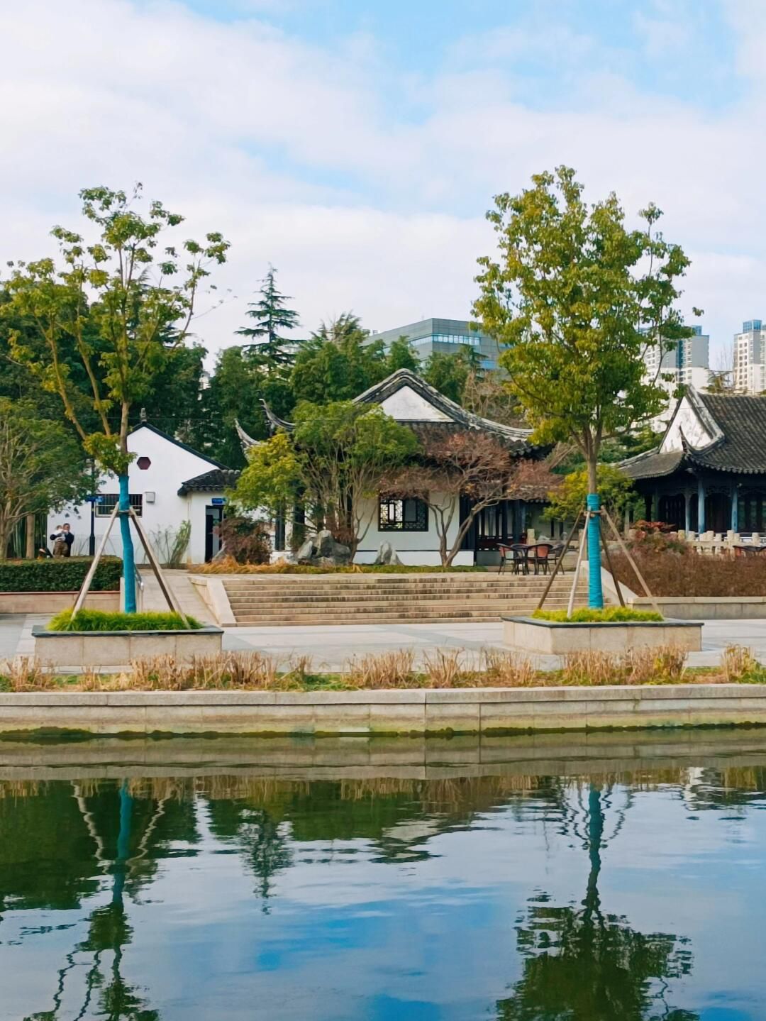 桐泾公园旅行图片 3