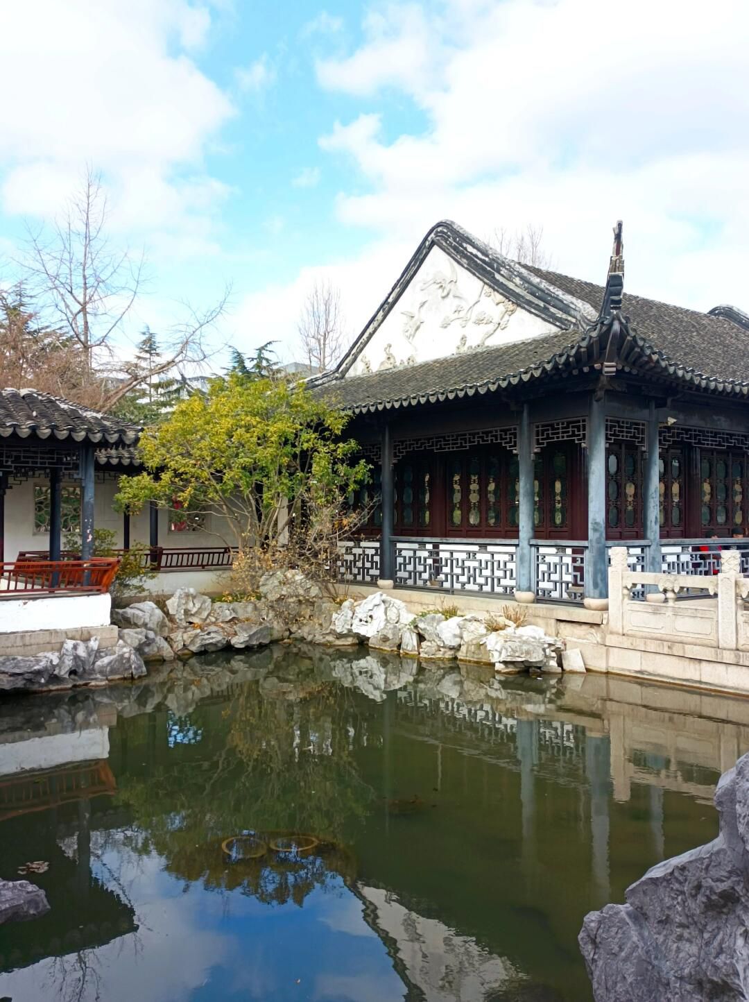 桐泾公园旅行图片 1