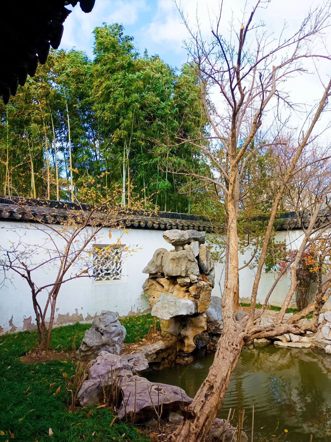 桐泾公园旅行图片 3