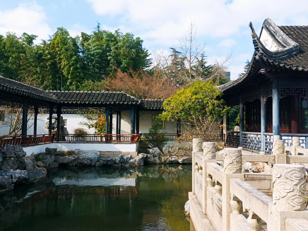 桐泾公园旅行图片 2