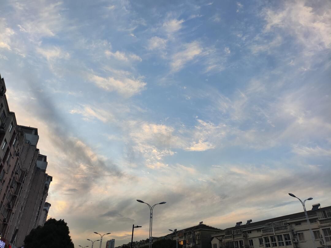 桐泾公园旅行图片 3