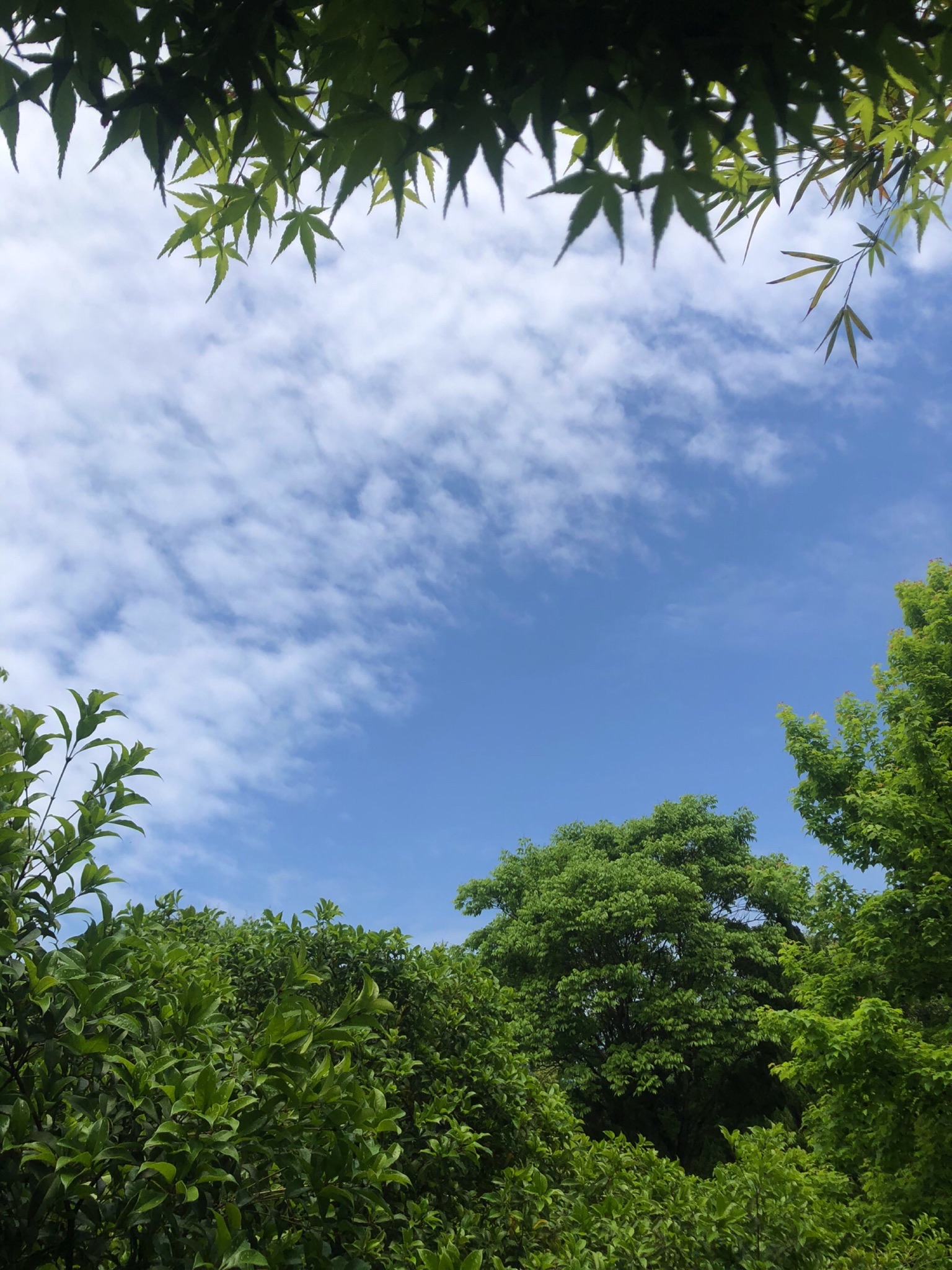 黎里公园旅行图片 1