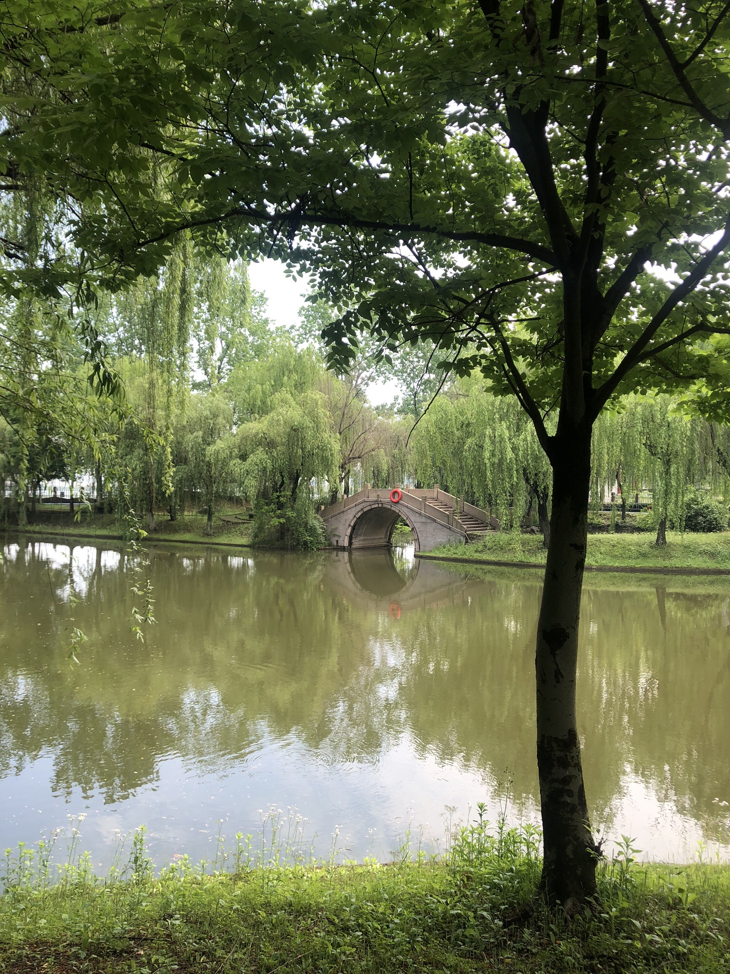 黎里公园旅行图片 2