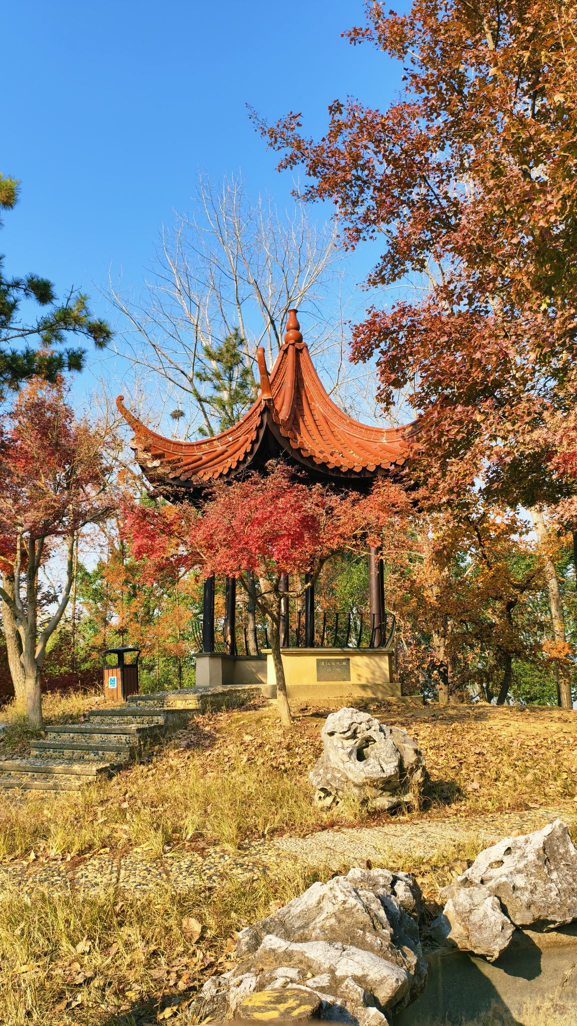 黎里公园旅行图片 2