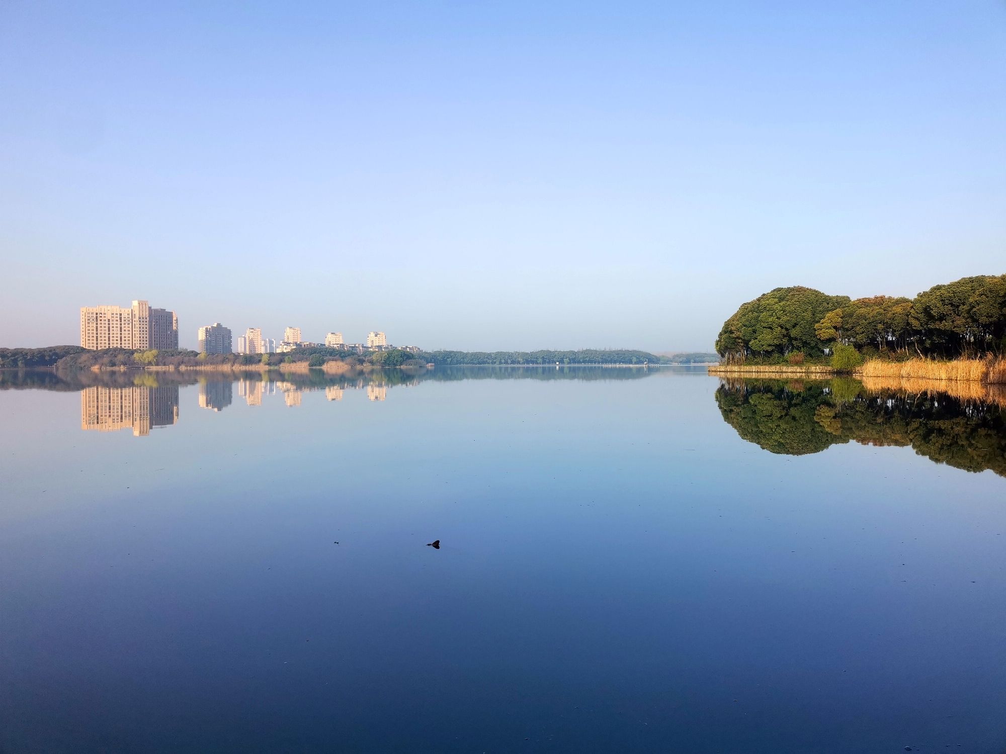 尚湖风景区旅行图片 1