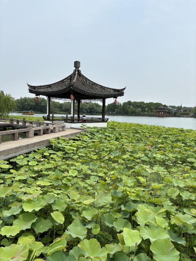 尚湖风景区旅行图片 1