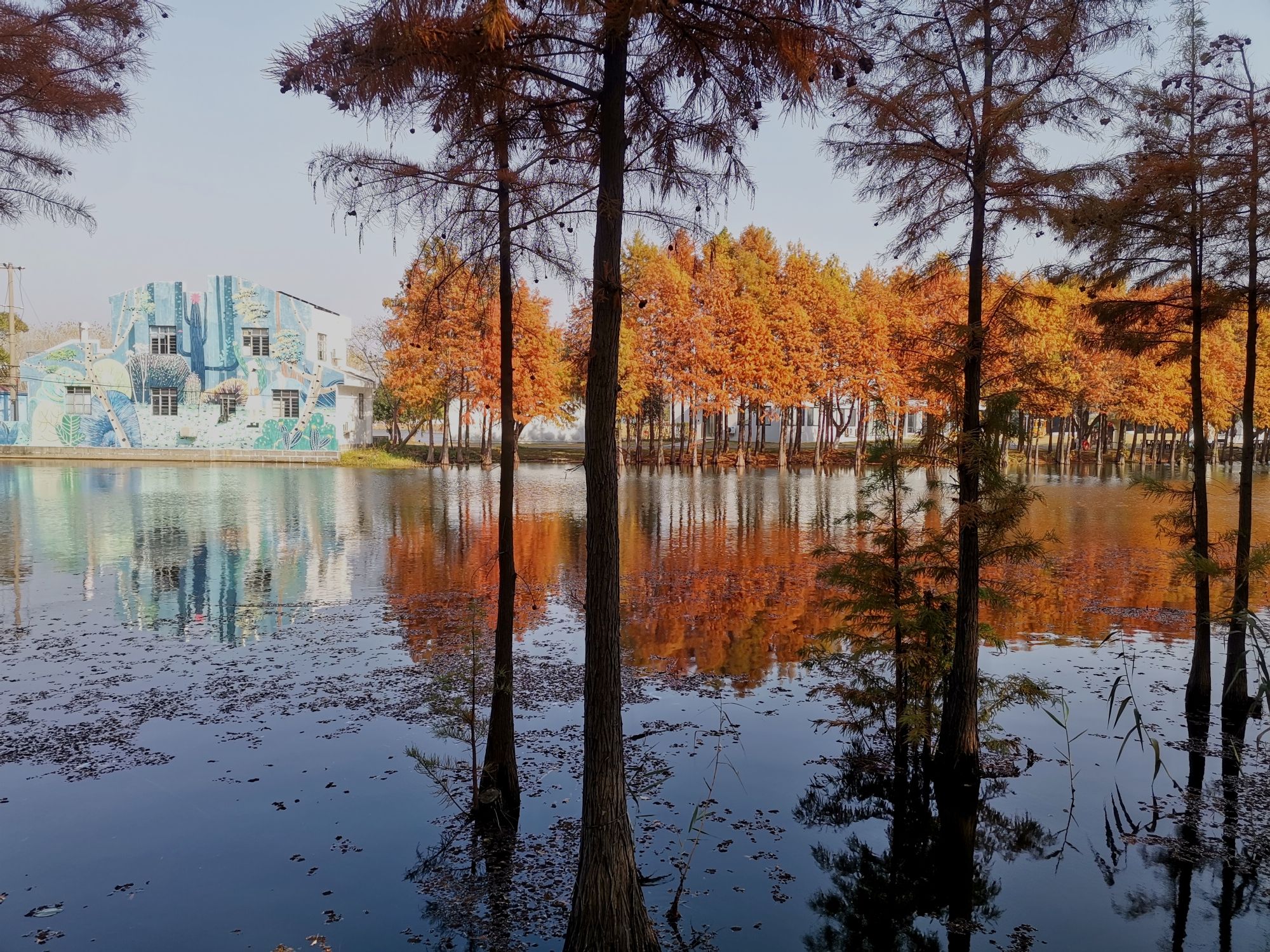 尚湖风景区旅行图片 3