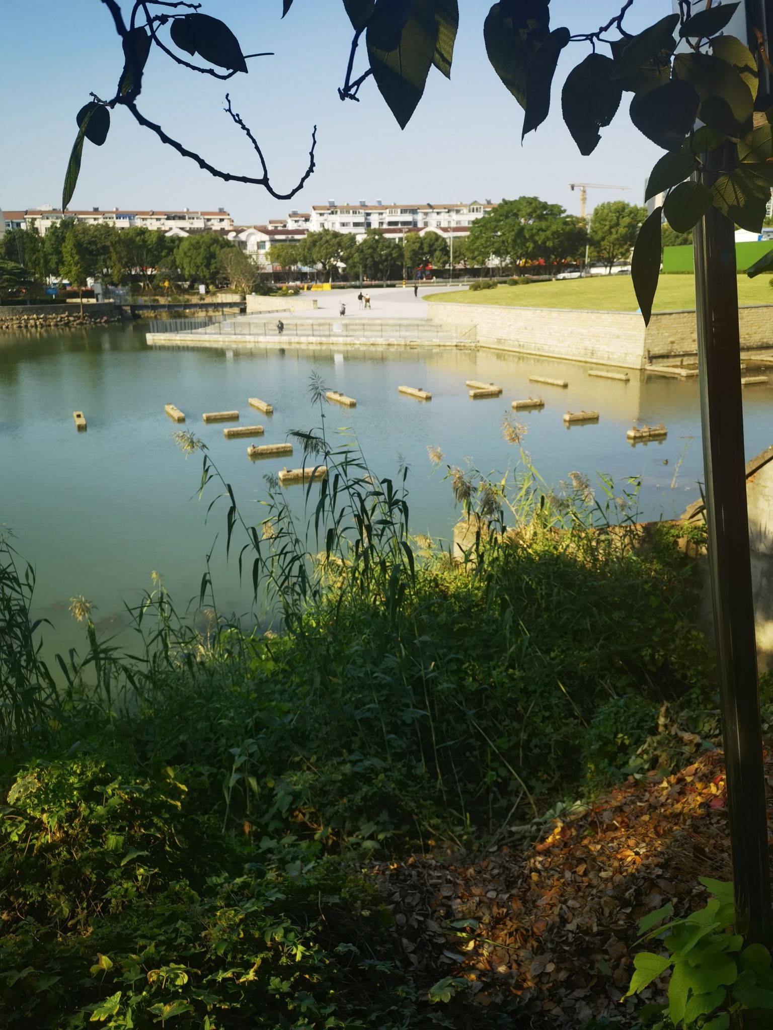 何山公园旅行图片 3
