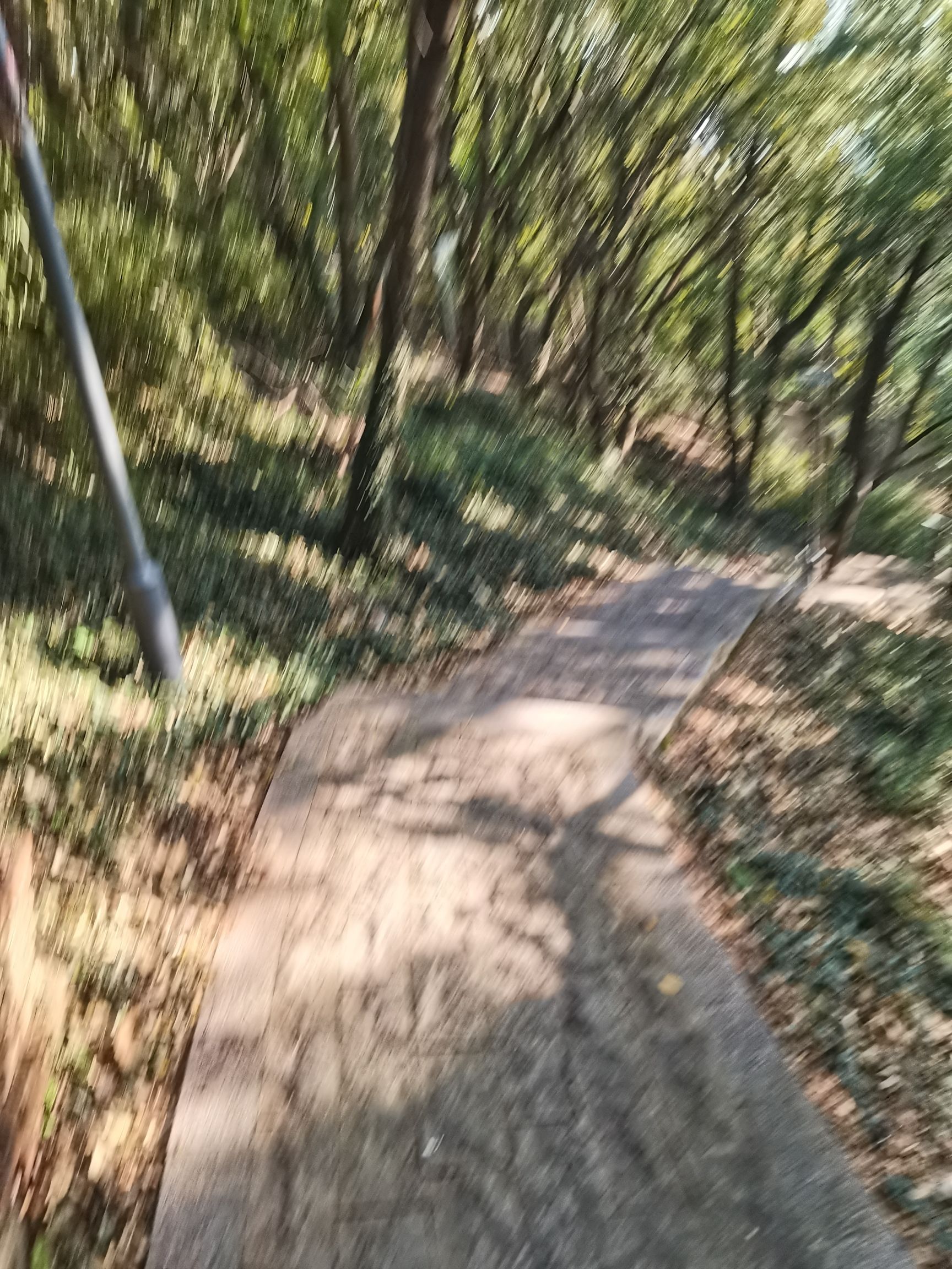 何山公园旅行图片 3