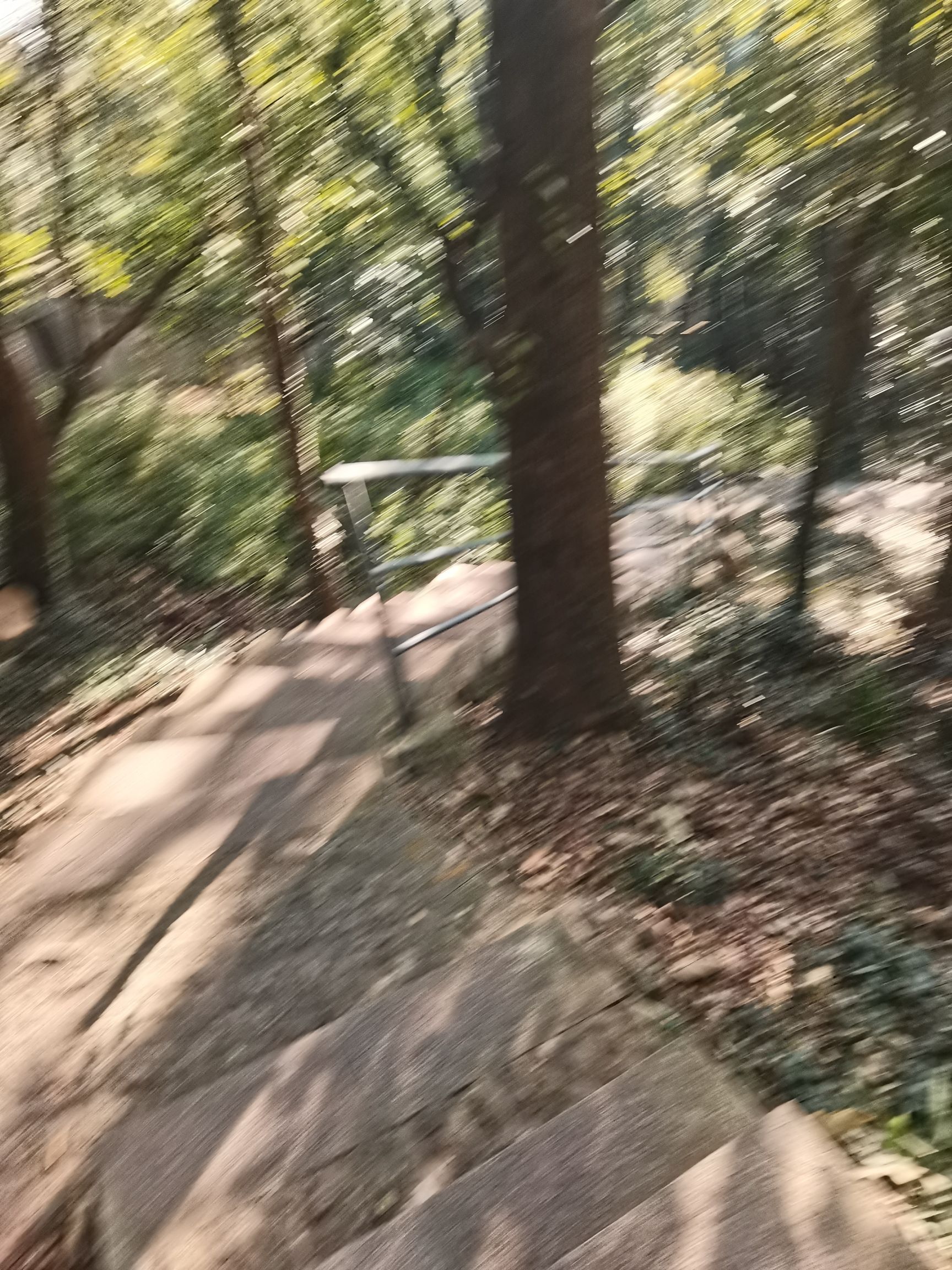 何山公园旅行图片 2