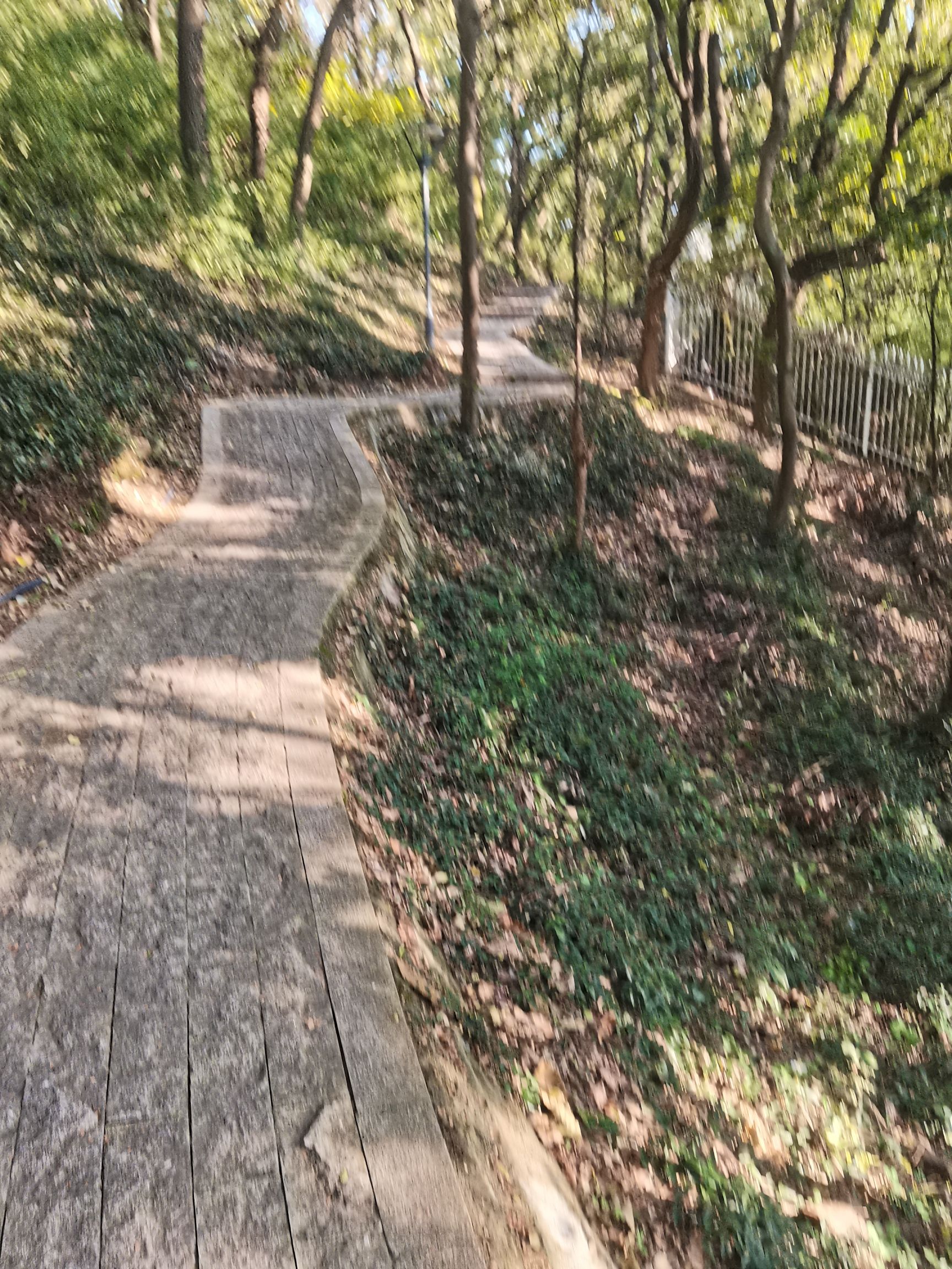 何山公园旅行图片 1
