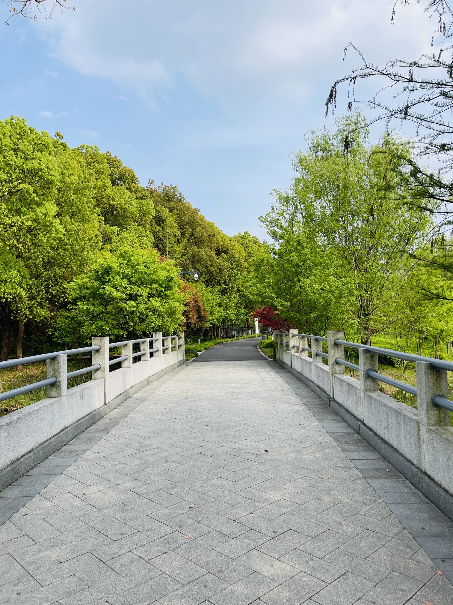 昆山市城市生态森林公园旅行图片 3