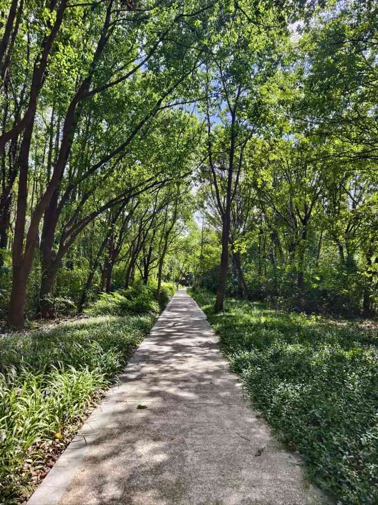 昆山市城市生态森林公园旅行图片 2