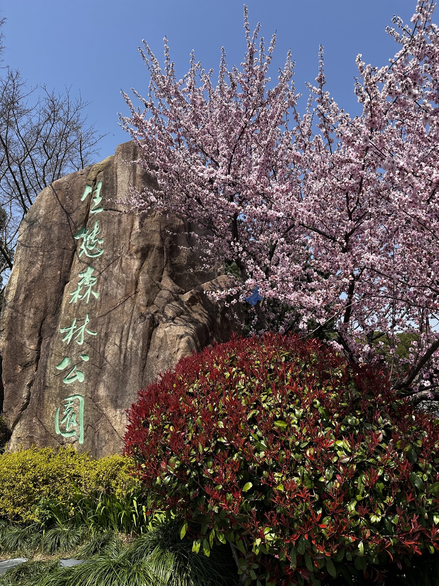 昆山市城市生态森林公园旅行图片 1