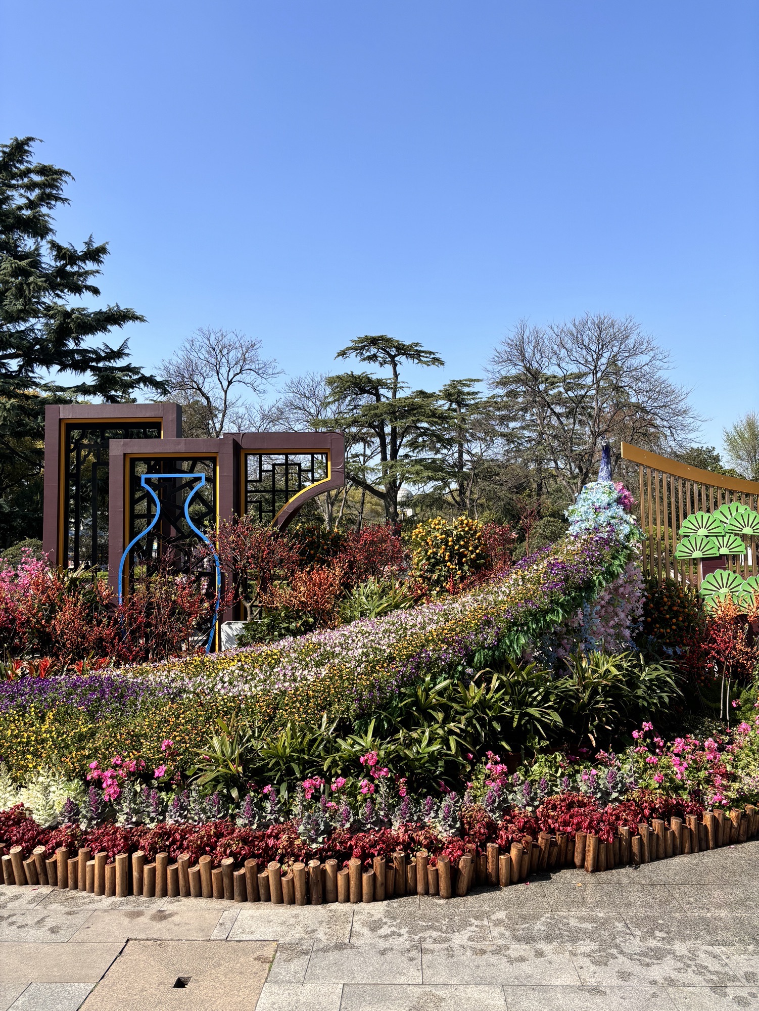 苏州公园旅行图片 1