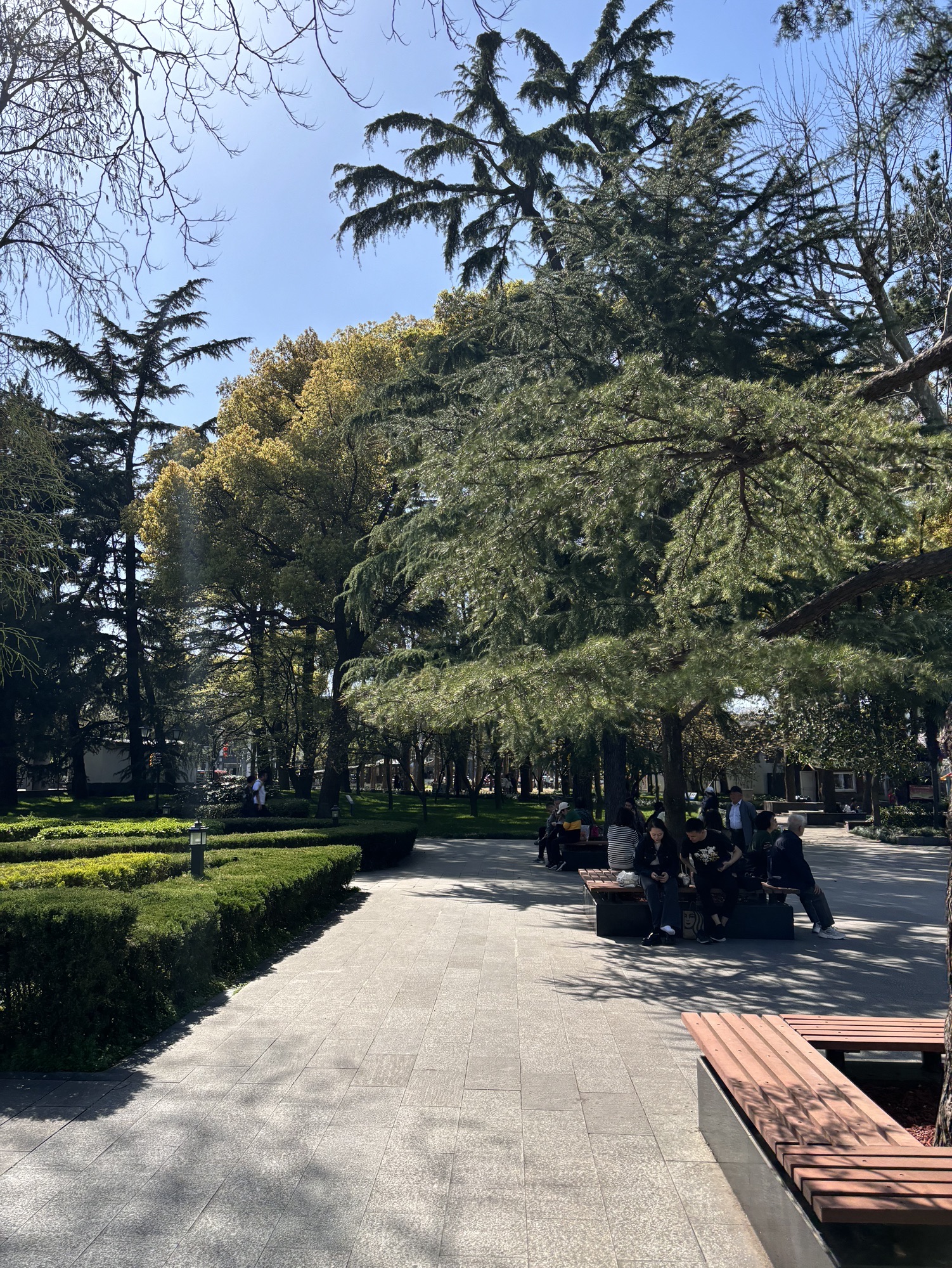 苏州公园旅行图片 3