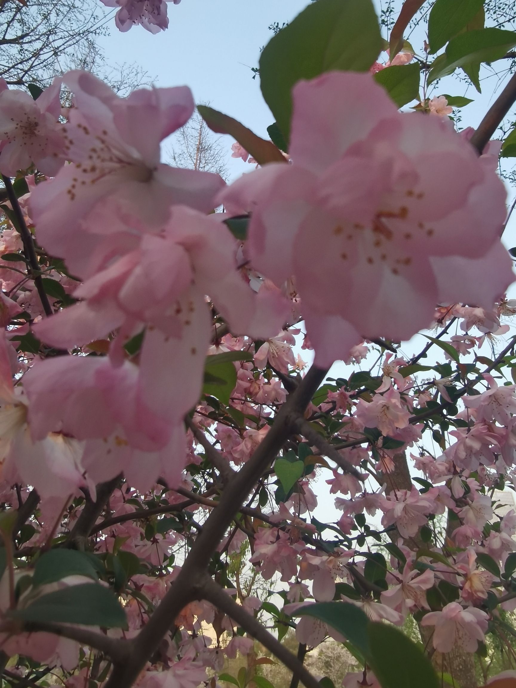 苏州市运河体育公园旅行图片 1