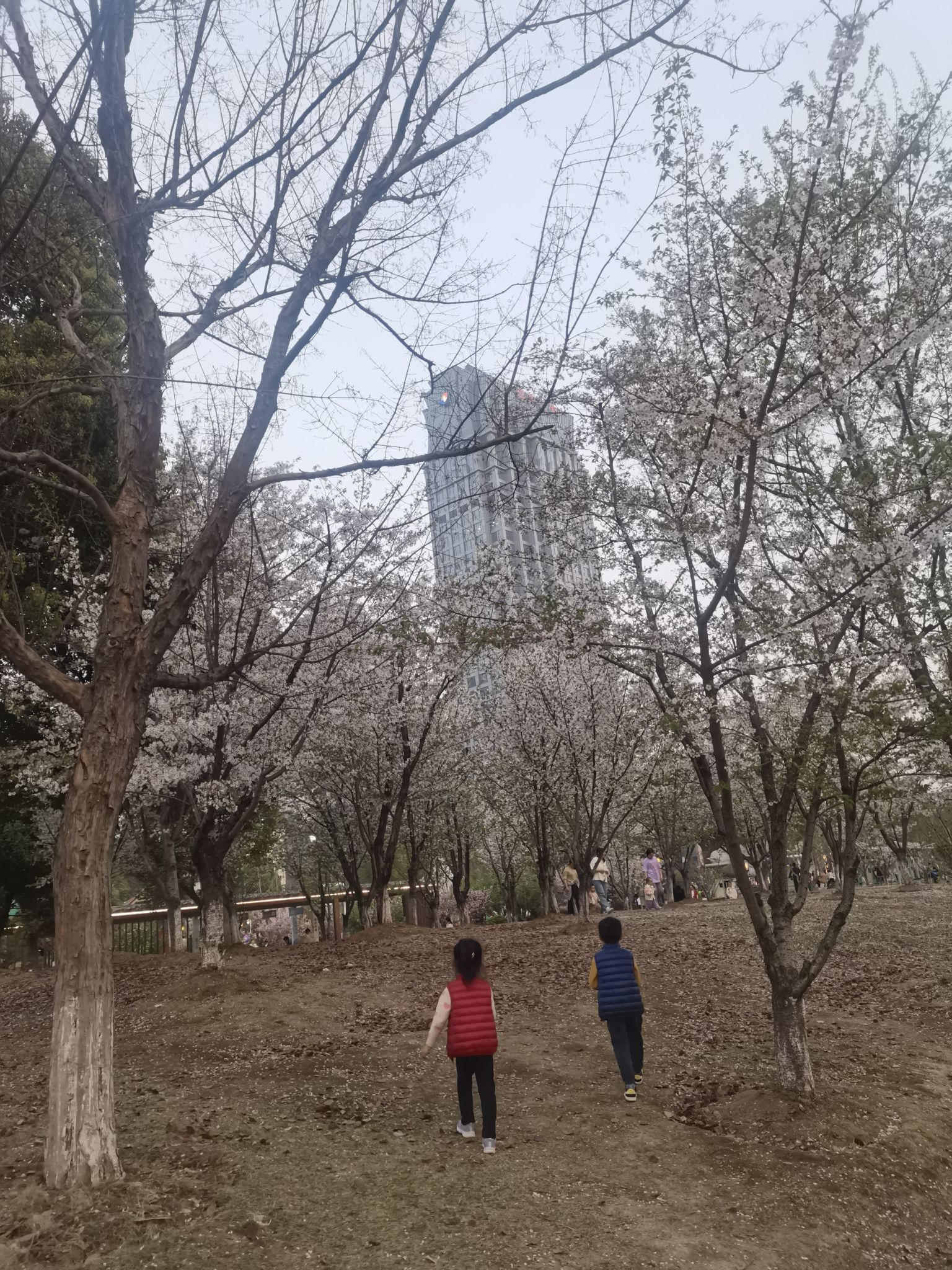 苏州市运河体育公园旅行图片 3
