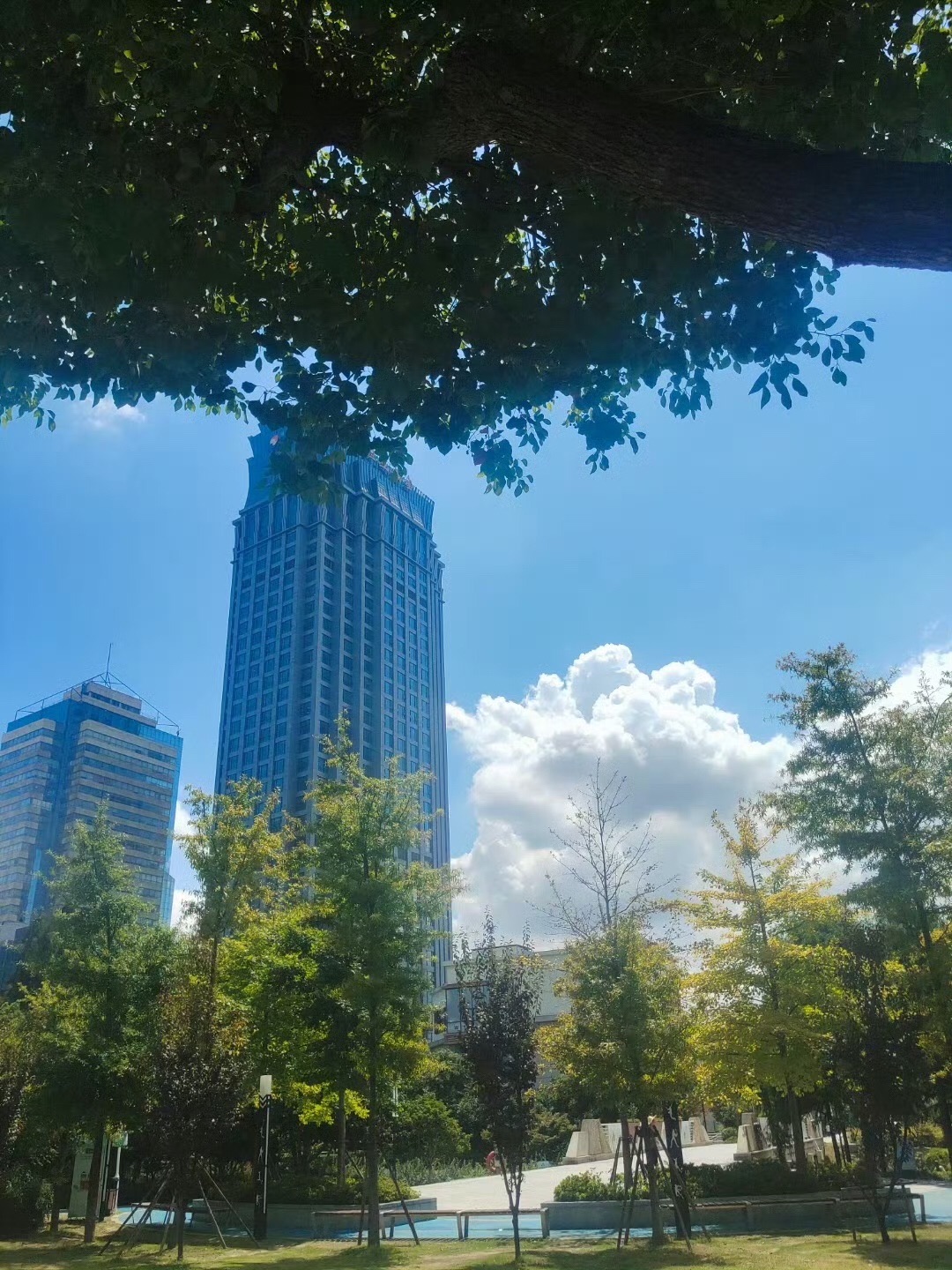苏州市运河体育公园旅行图片 2
