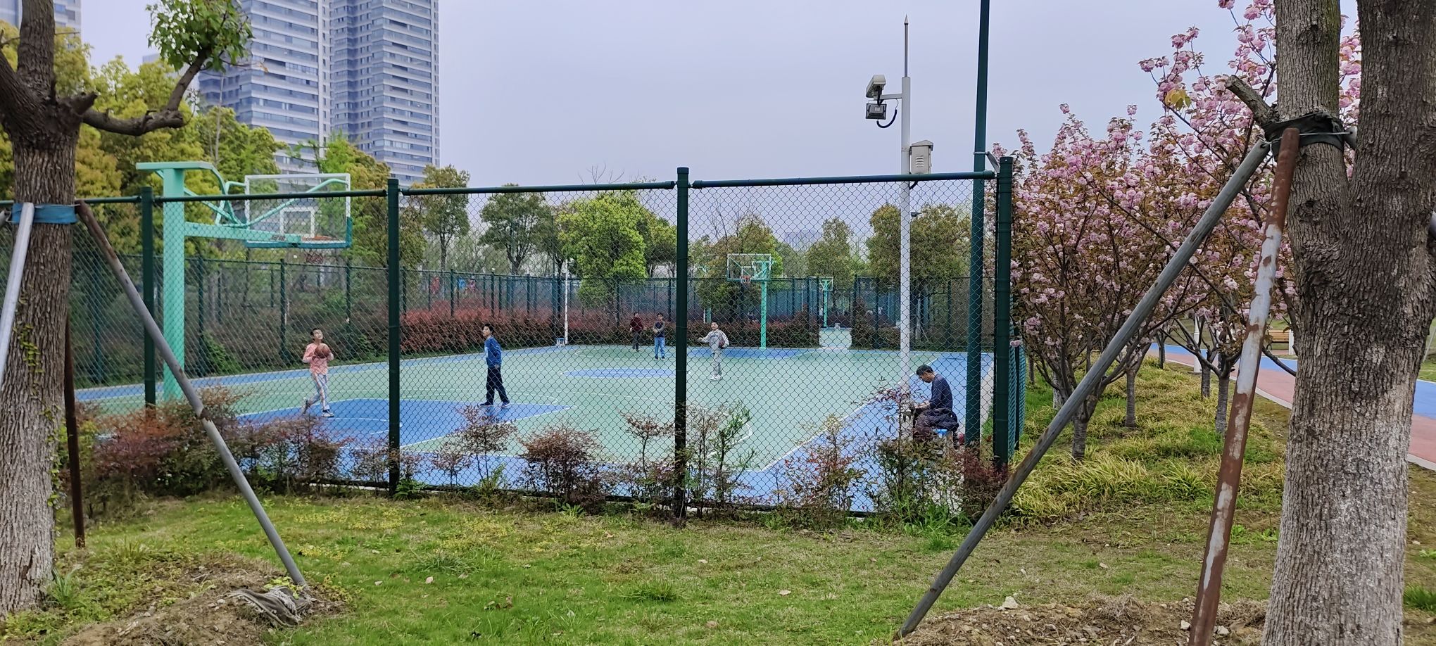 苏州市运河体育公园旅行图片 3