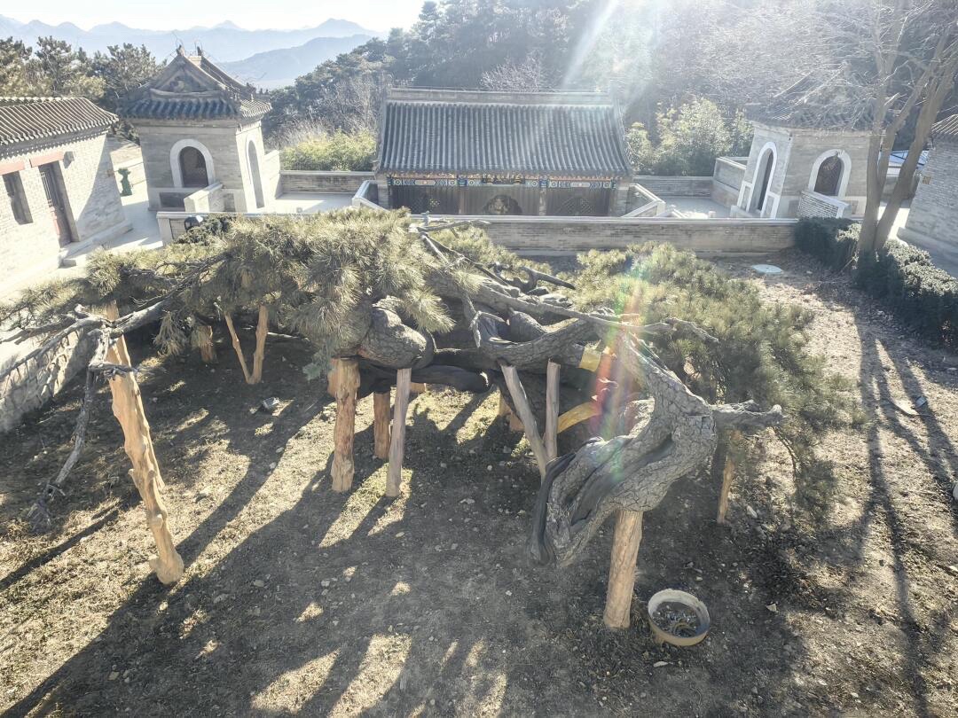 北庄寺实景照片