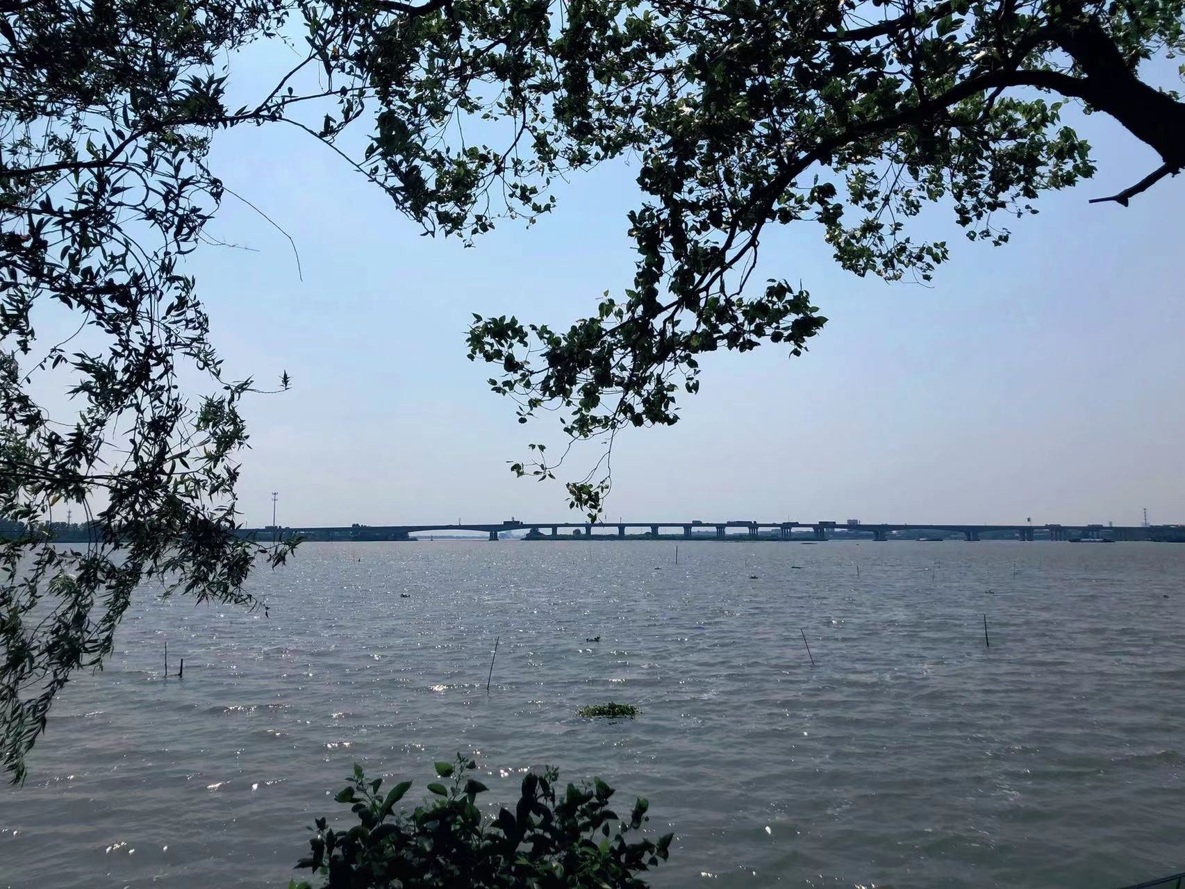 汾湖公园旅行图片 1