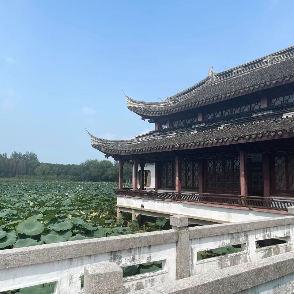 汾湖公园旅行图片 2
