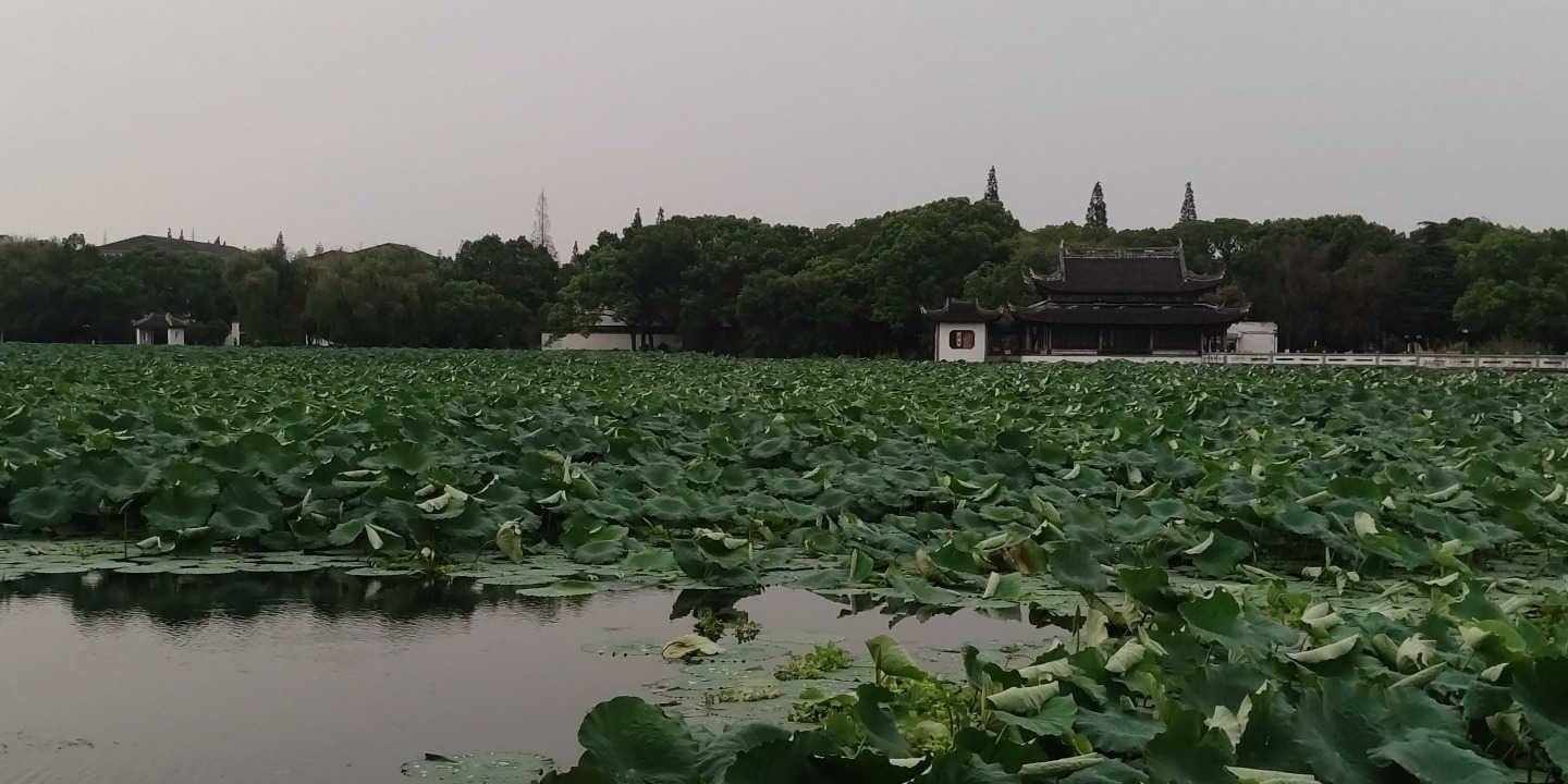 汾湖公园旅行图片 1