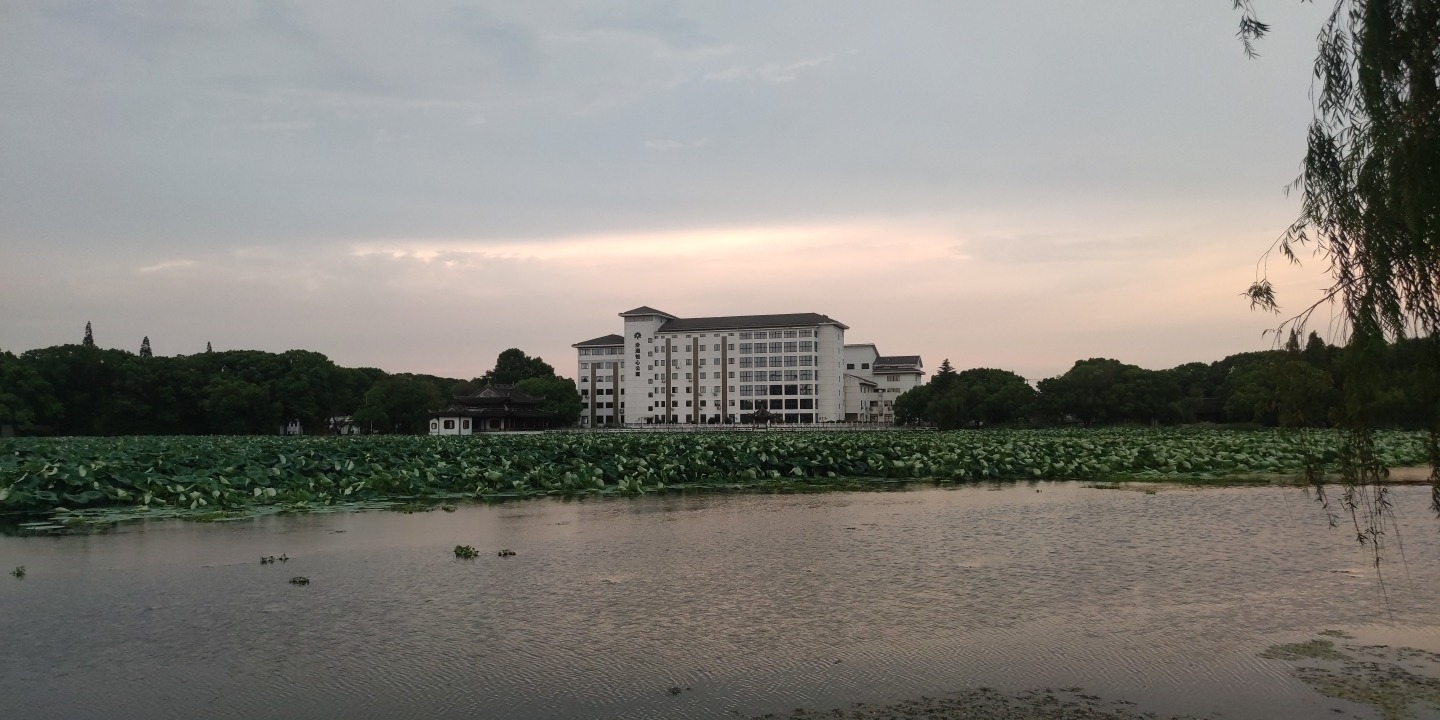 汾湖公园旅行图片 3