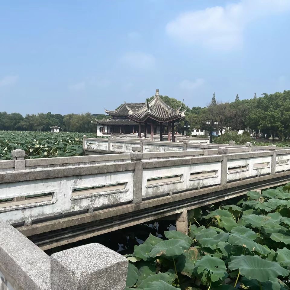 汾湖公园旅行图片 1