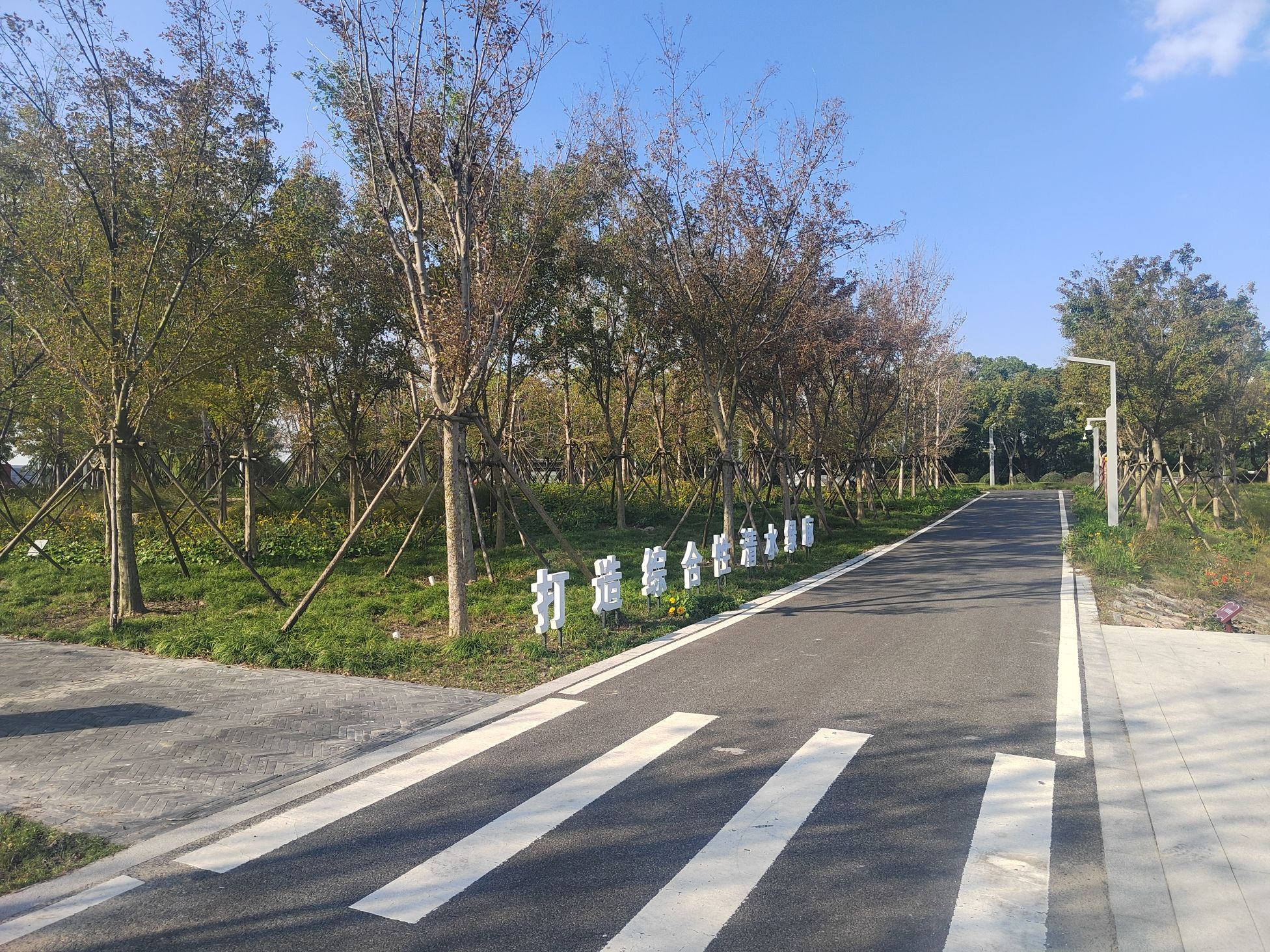汾湖公园旅行图片 3