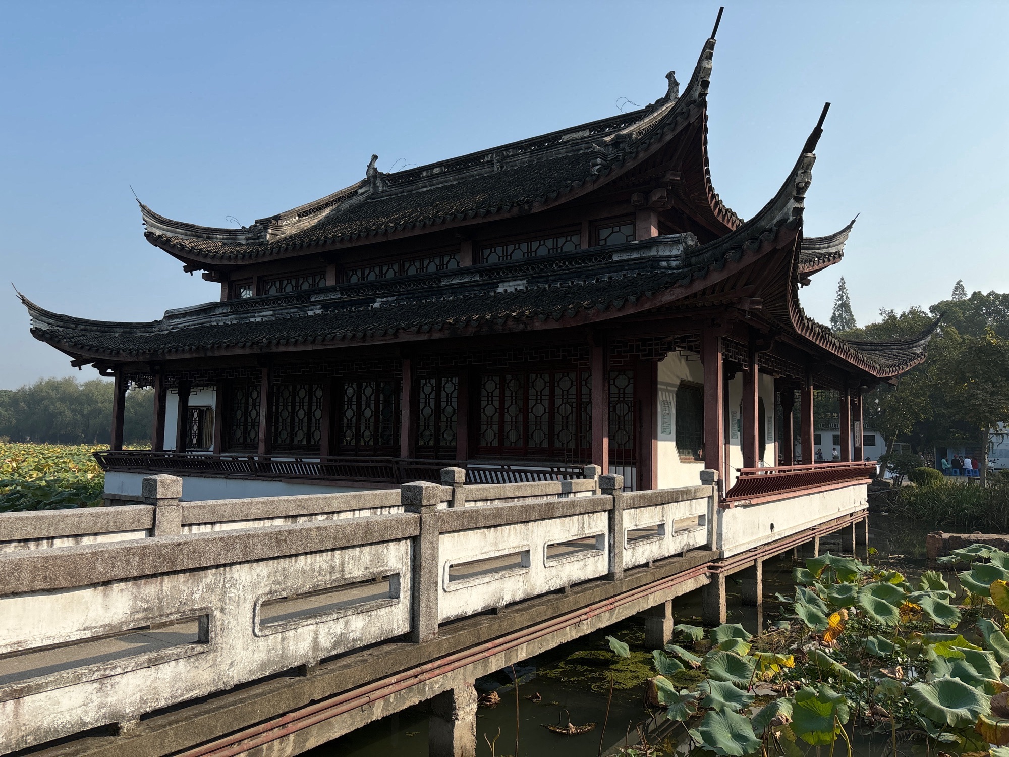 汾湖公园旅行图片 2