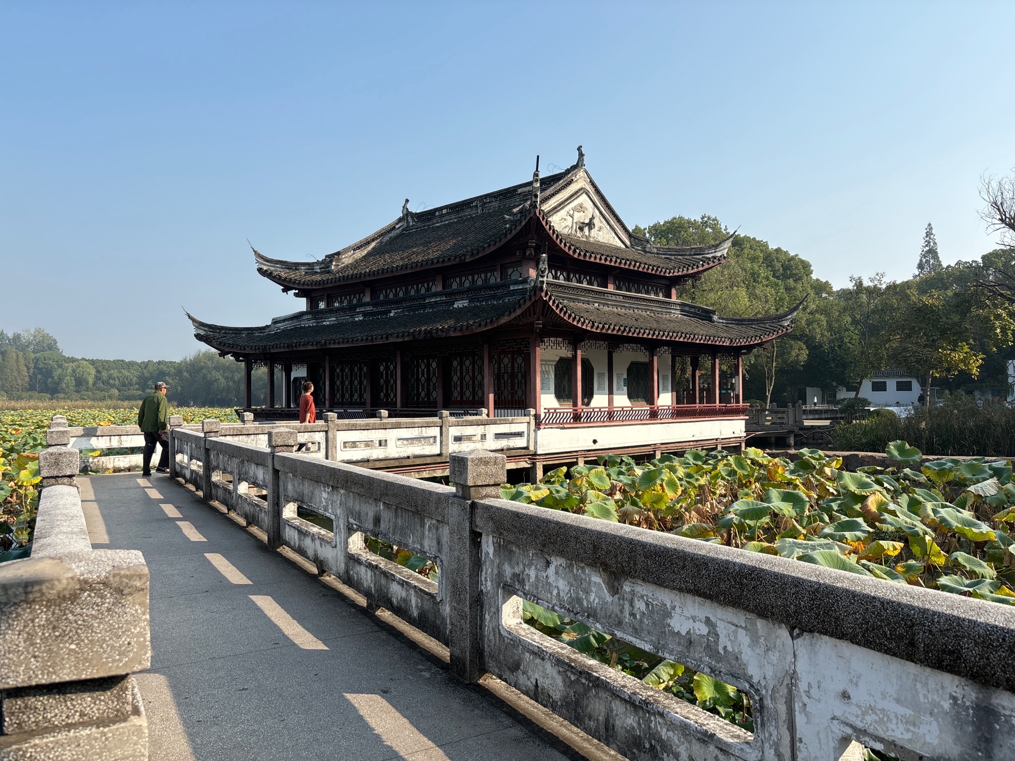 汾湖公园旅行图片 1