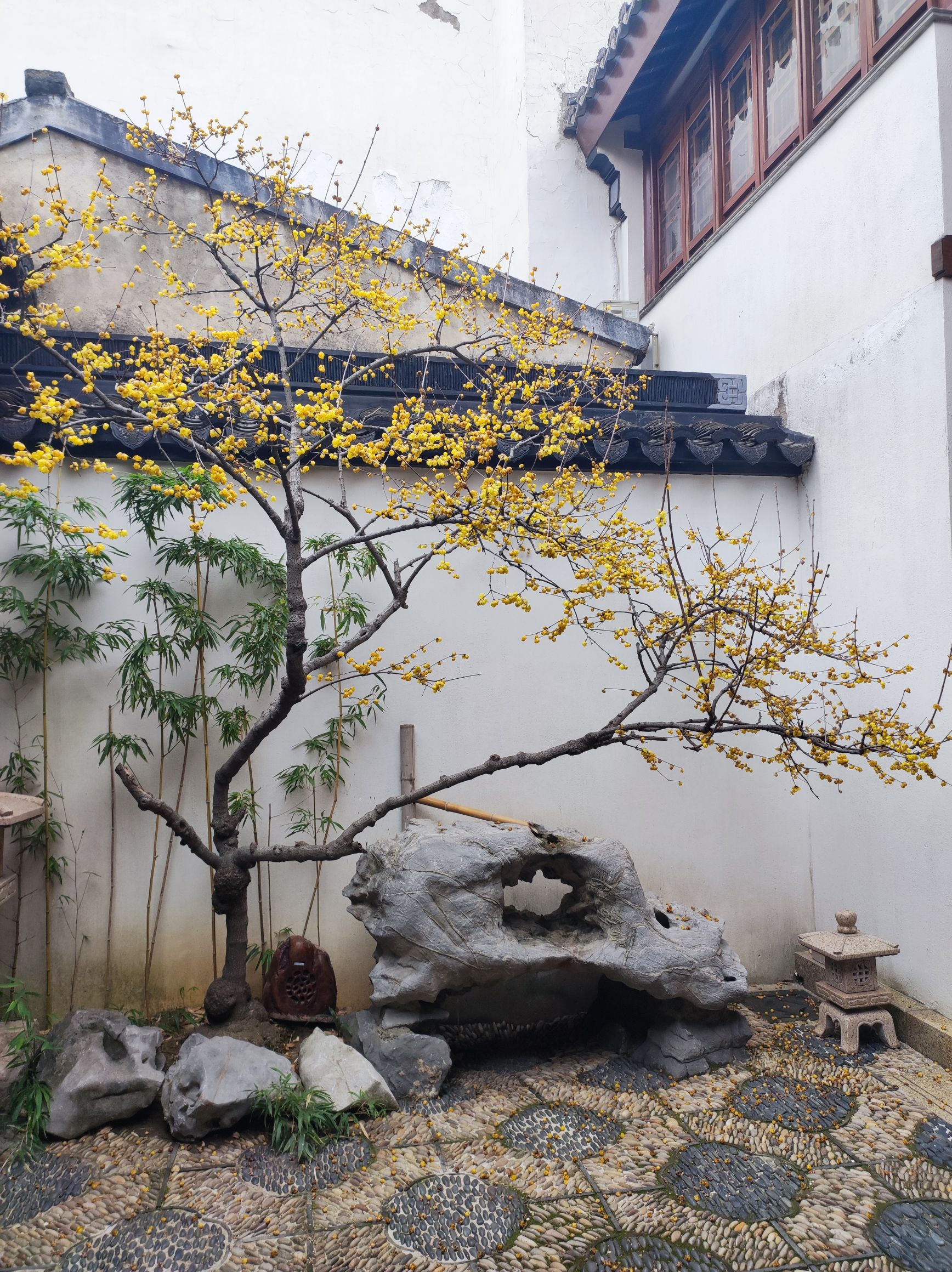 苏州佛教居士林实景照片