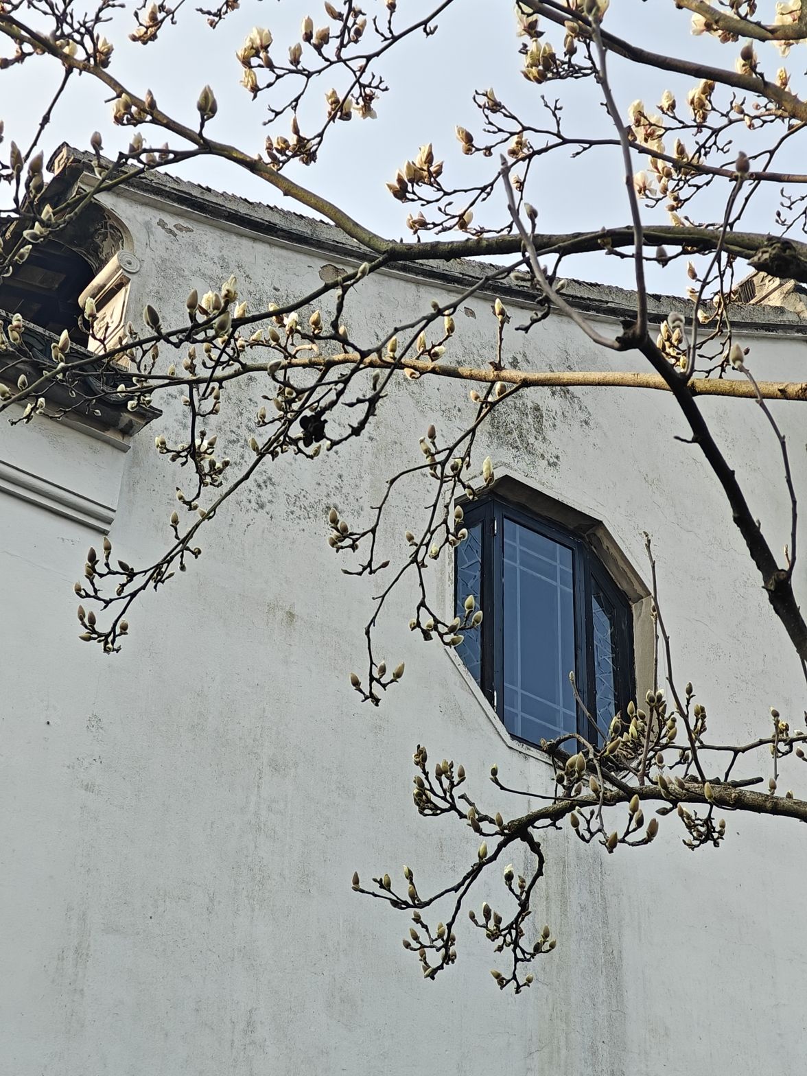木渎古镇旅行图片 3