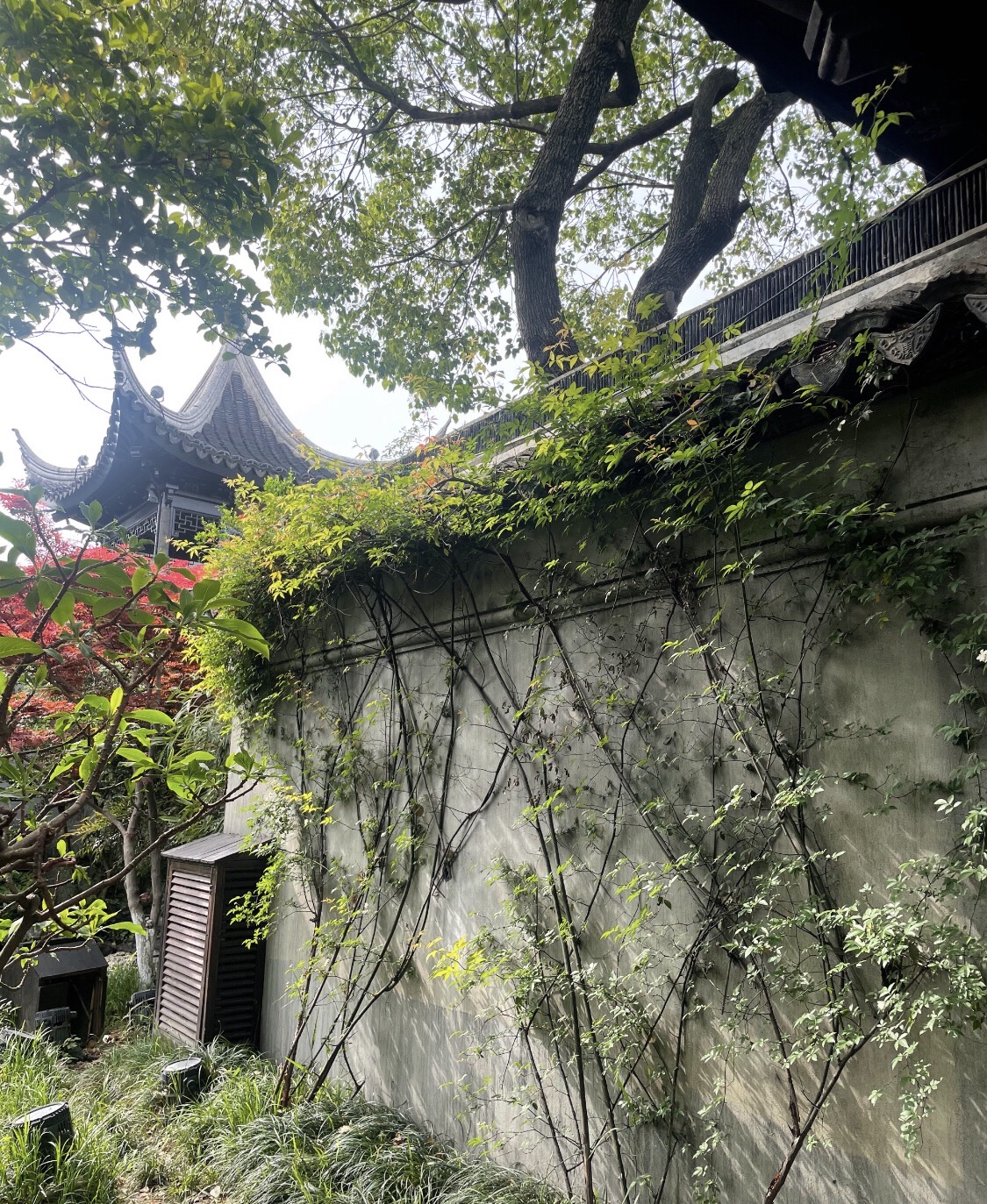 木渎古镇旅行图片 3