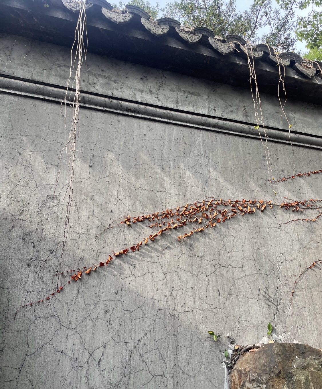 木渎古镇旅行图片 2