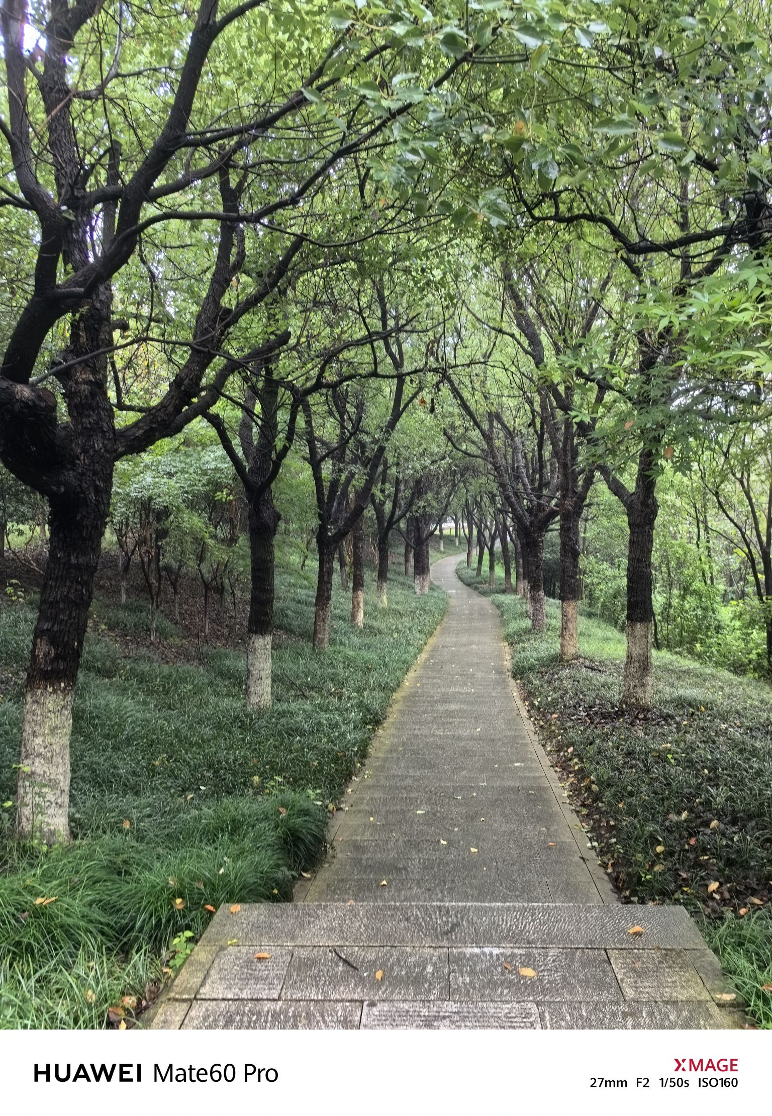 香山景区旅行图片 3