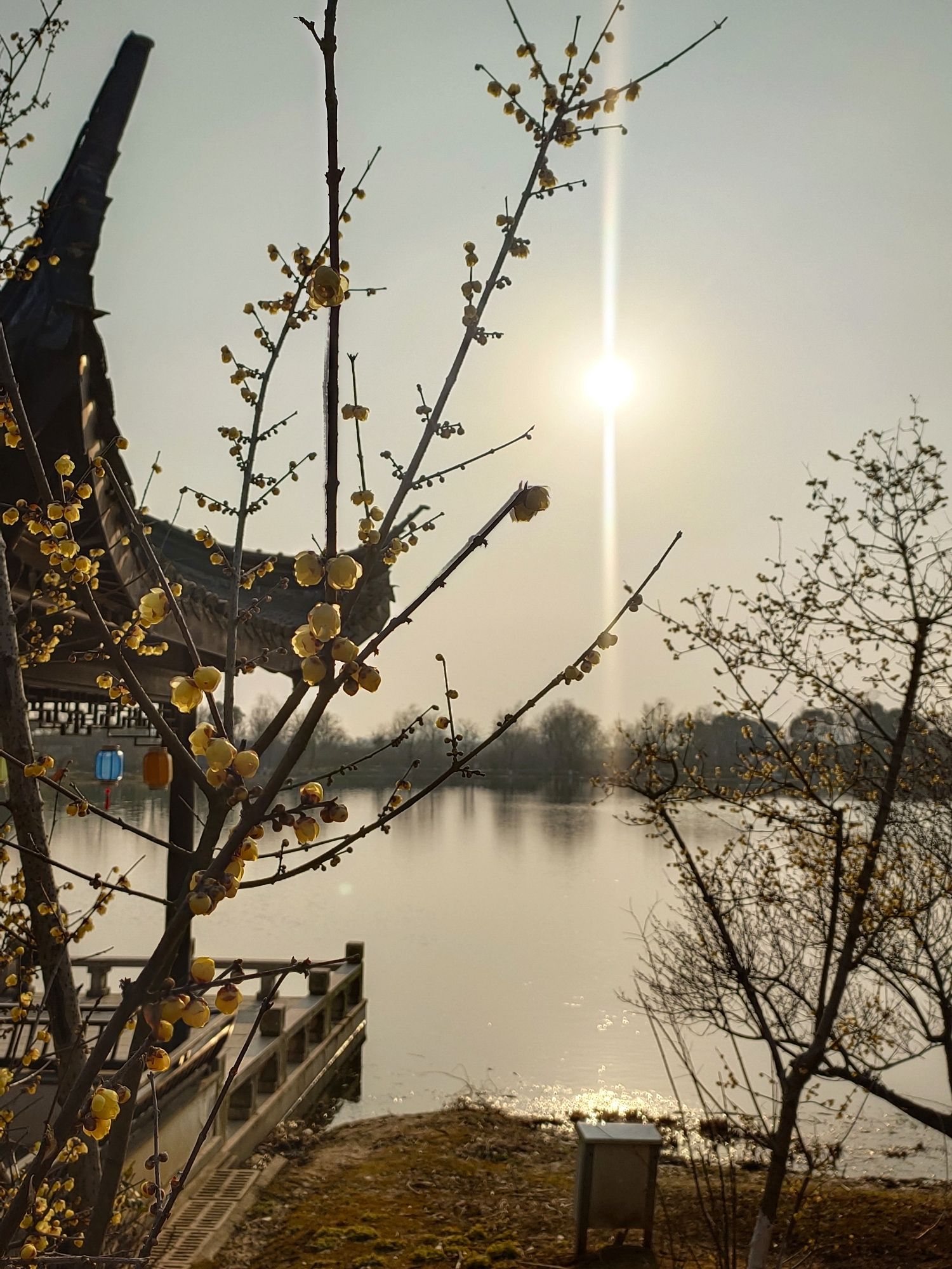 香山景区旅行图片 3