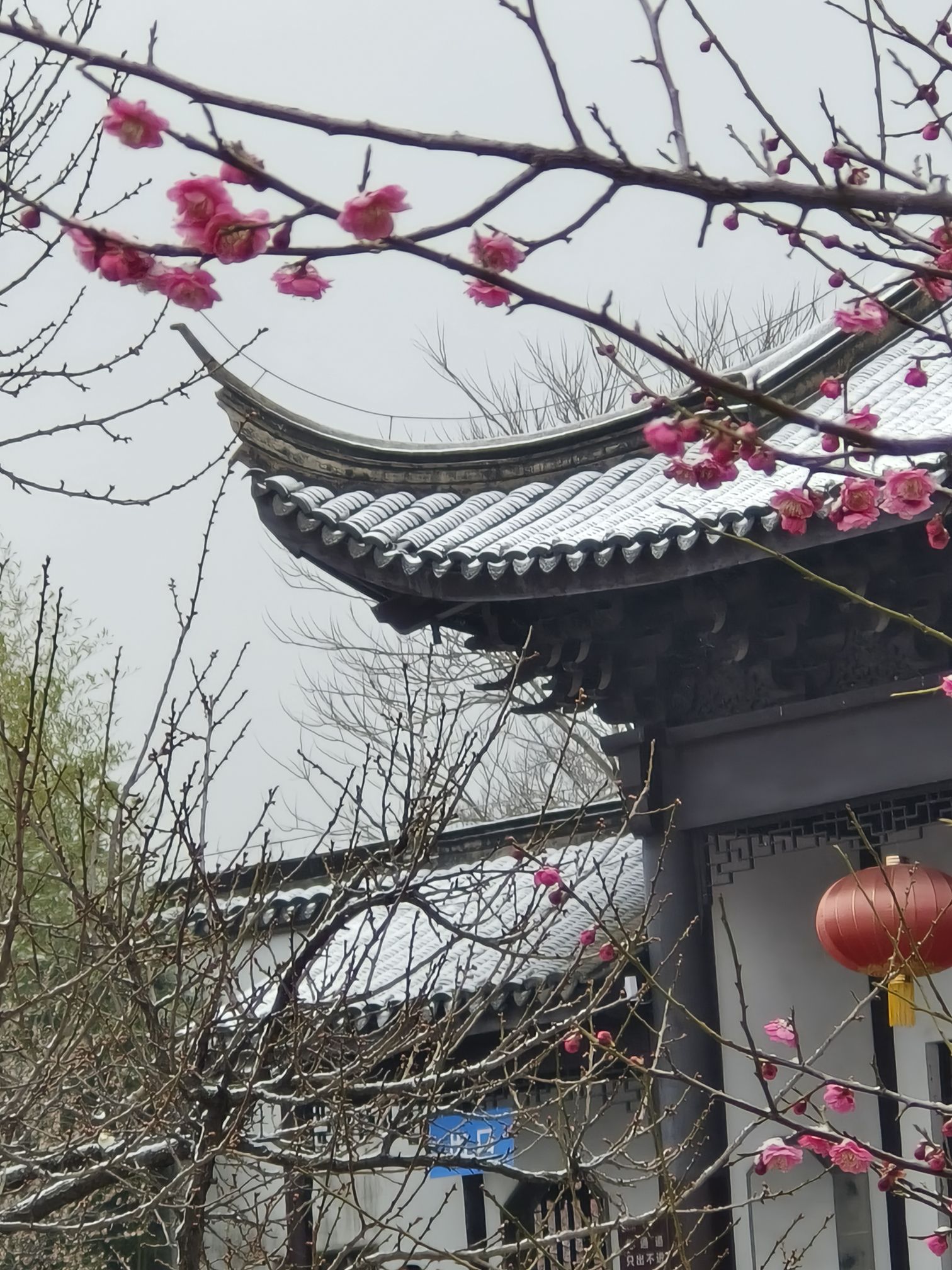 香山景区旅行图片 1