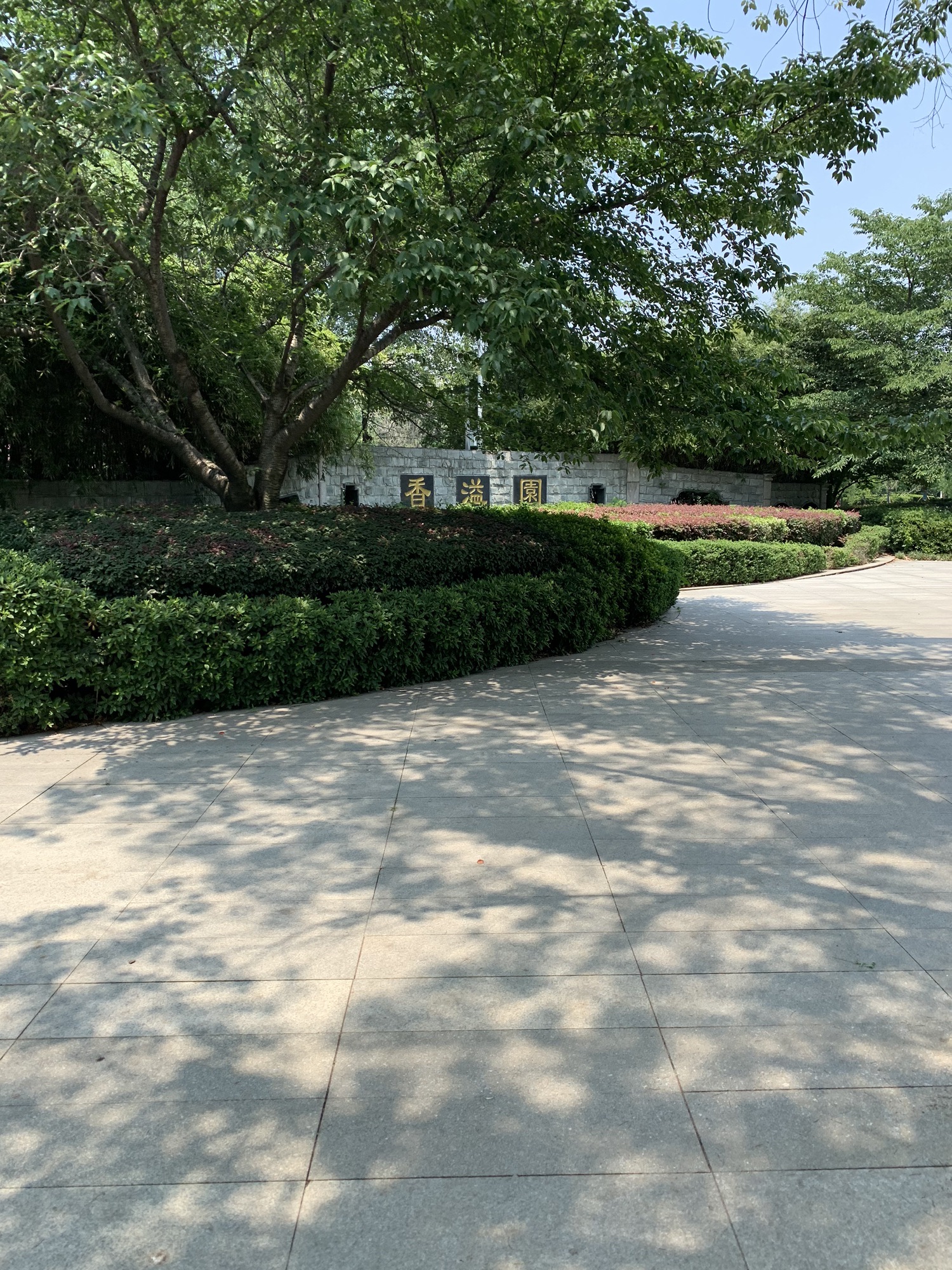 香溢园旅行图片 2