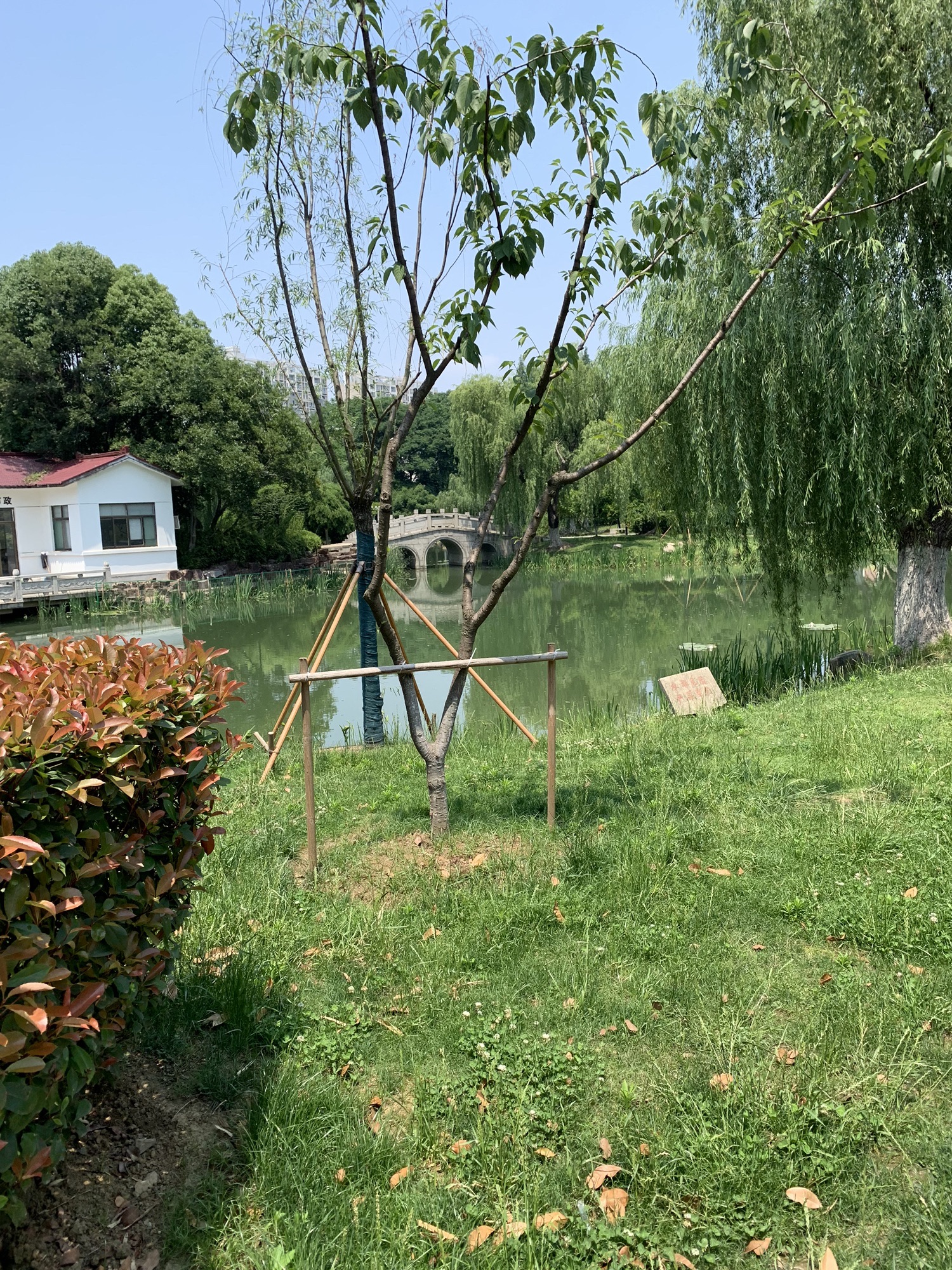 香溢园旅行图片 3