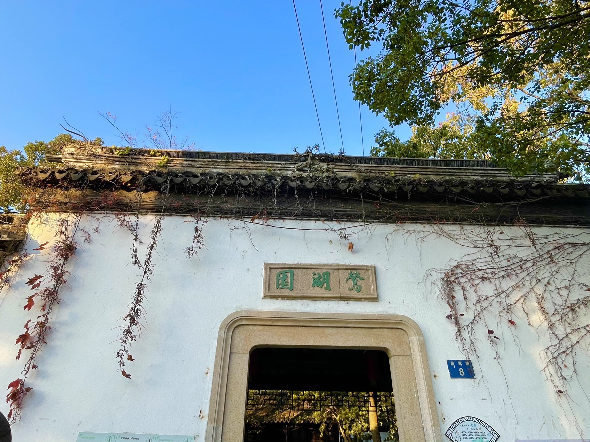 莺湖园旅行图片 1