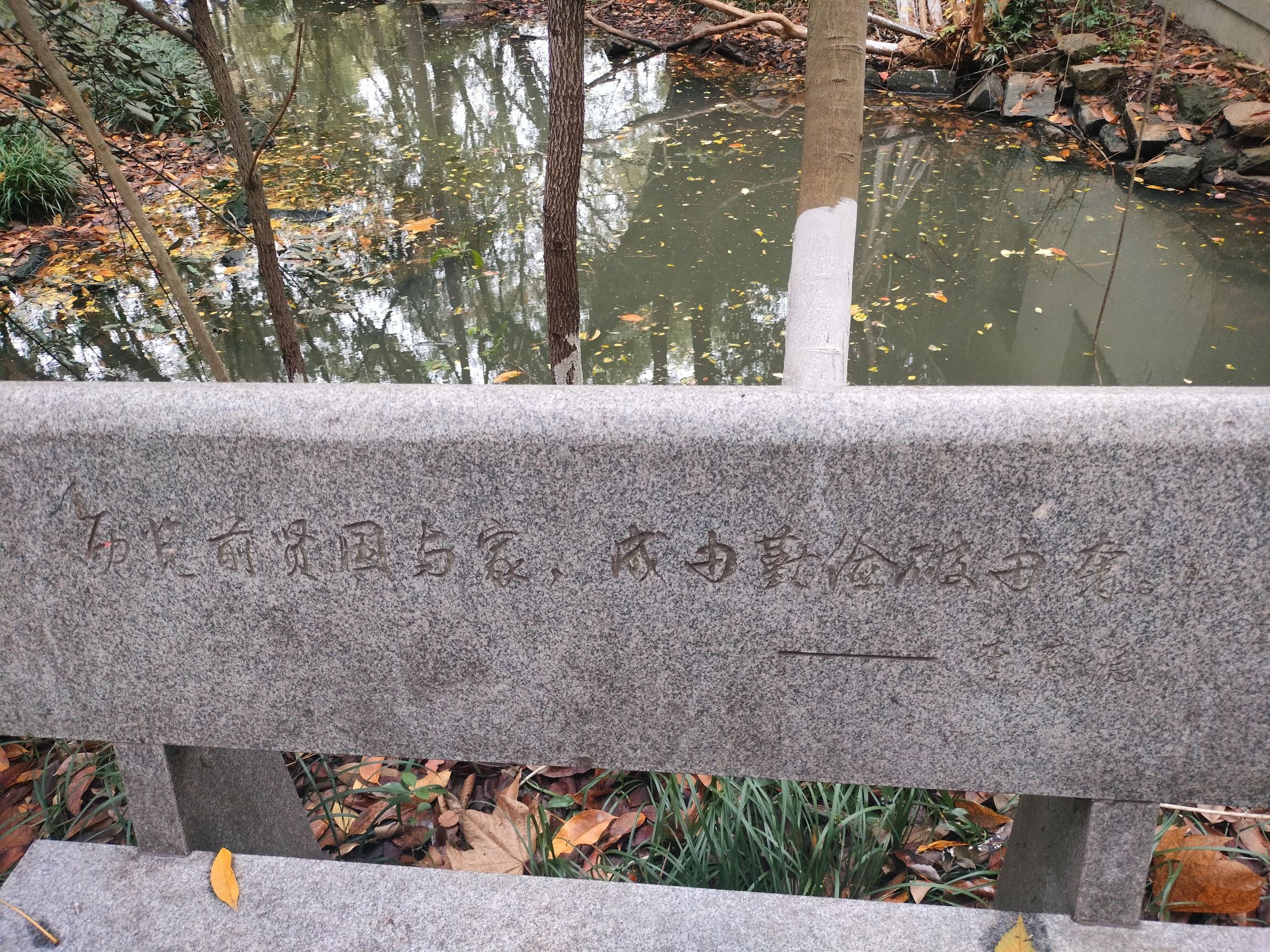 莺湖园旅行图片 3