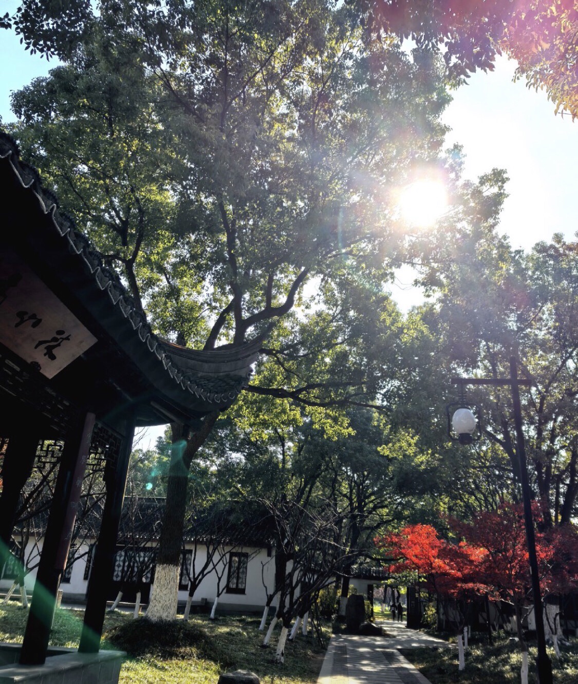 百花洲公园(百花洲)旅行图片 1