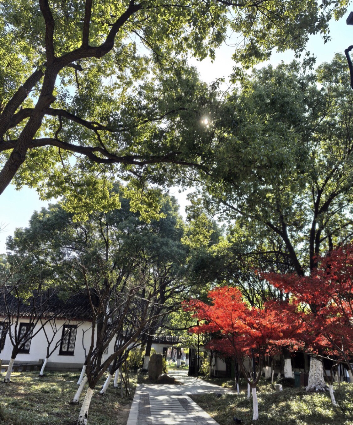 百花洲公园(百花洲)旅行图片 2