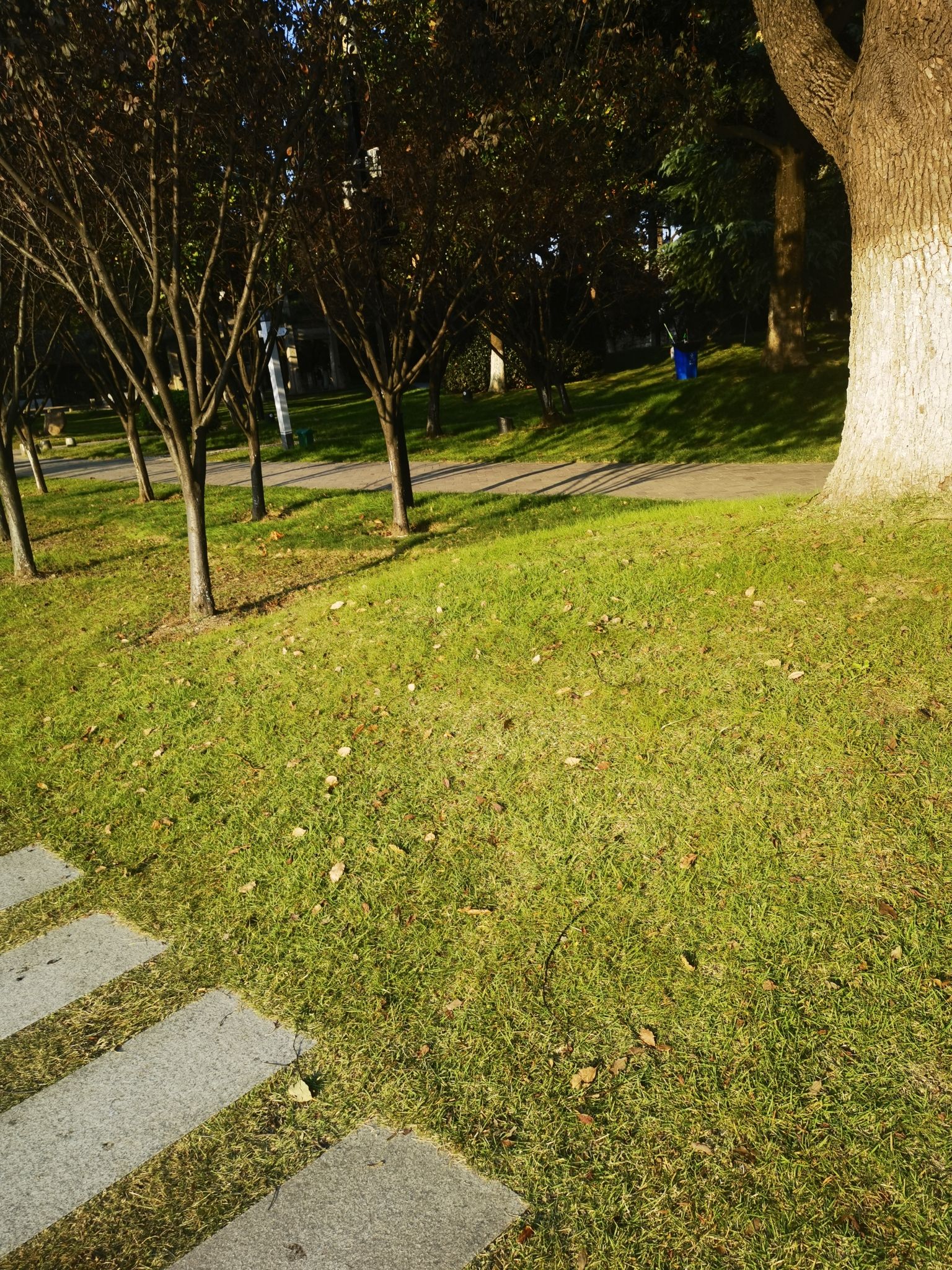 百花洲公园(百花洲)旅行图片 2