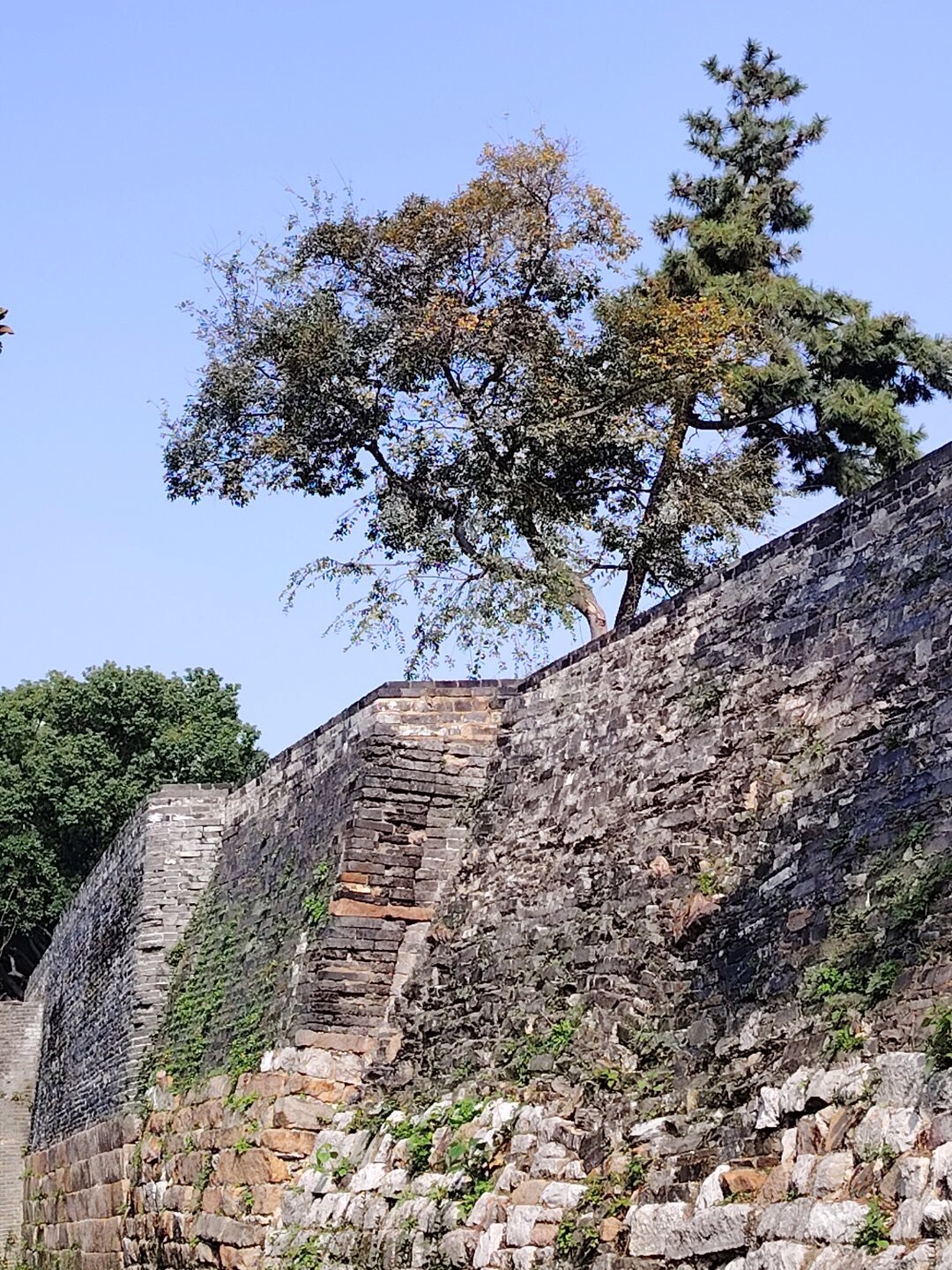 百花洲公园(百花洲)旅行图片 3